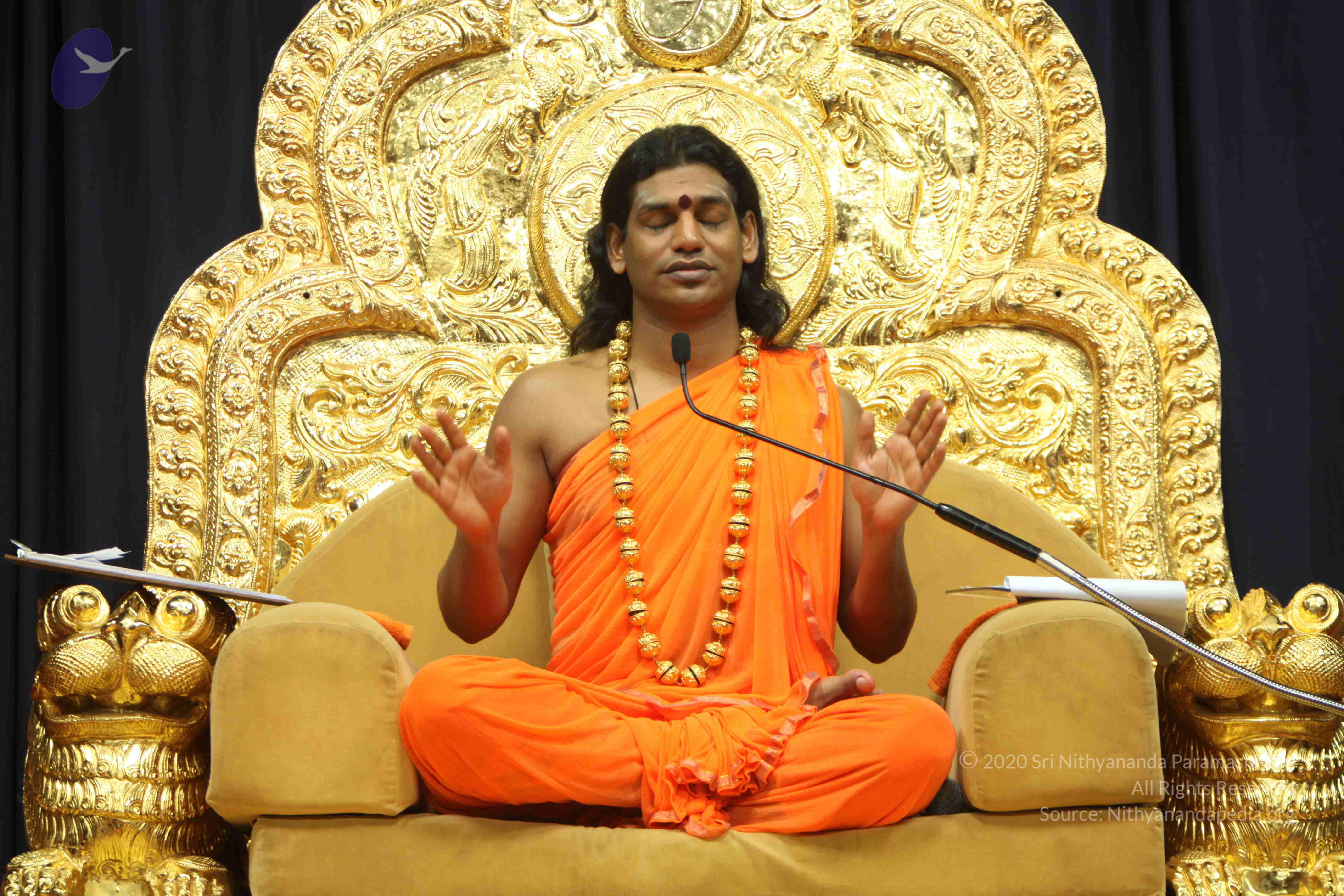 20110227_Photo_1343_IMG_9189_CMP_WM