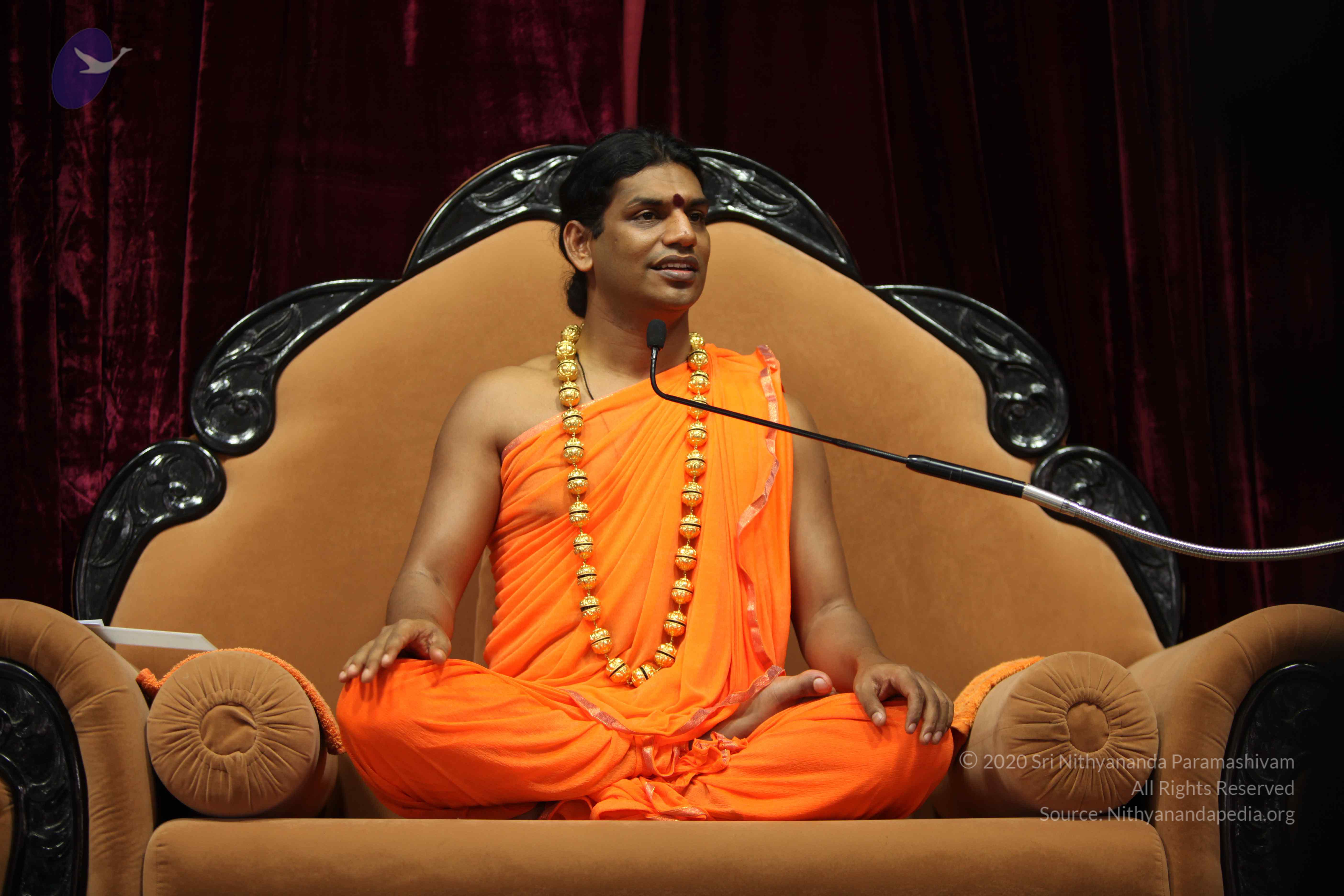 20110227_Photo_1344_IMG_9396_CMP_WM