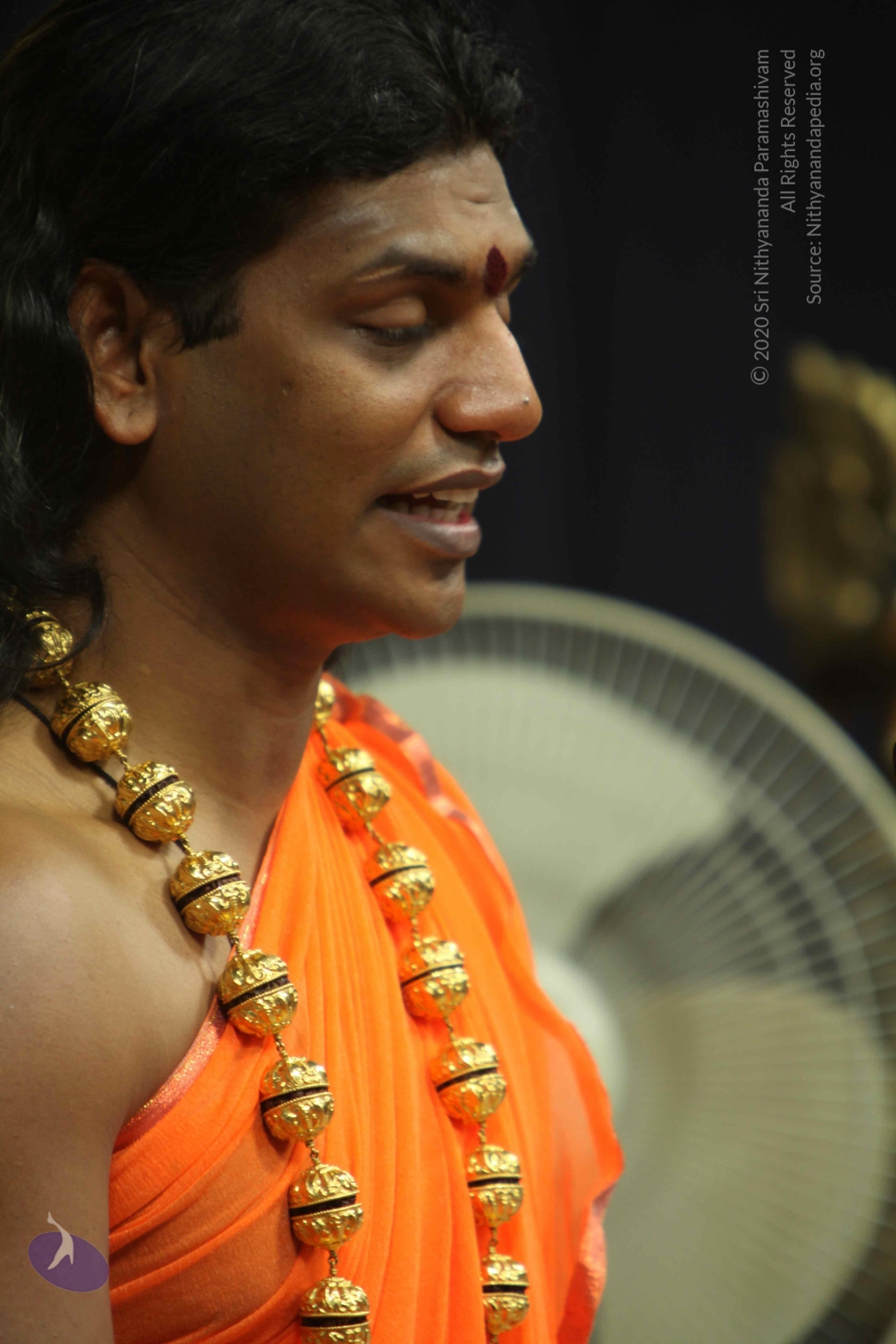 20110227_Photo_1353_IMG_9044_CMP_WM