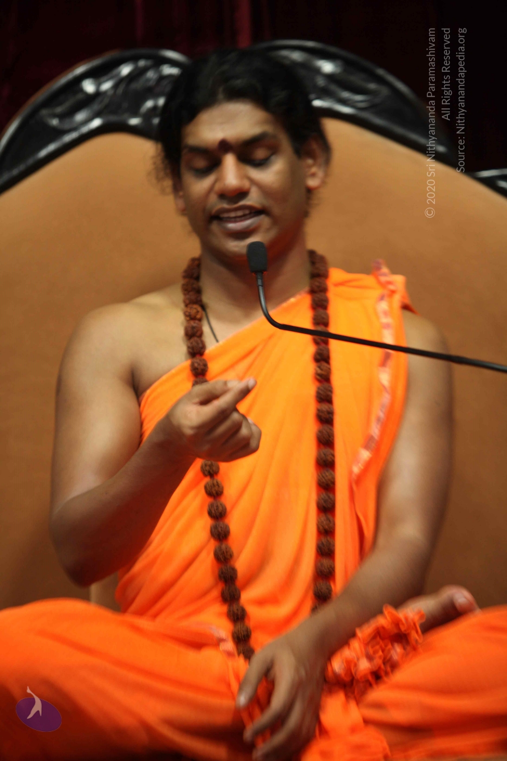 20110227_Photo_1357_IMG_9539_CMP_WM