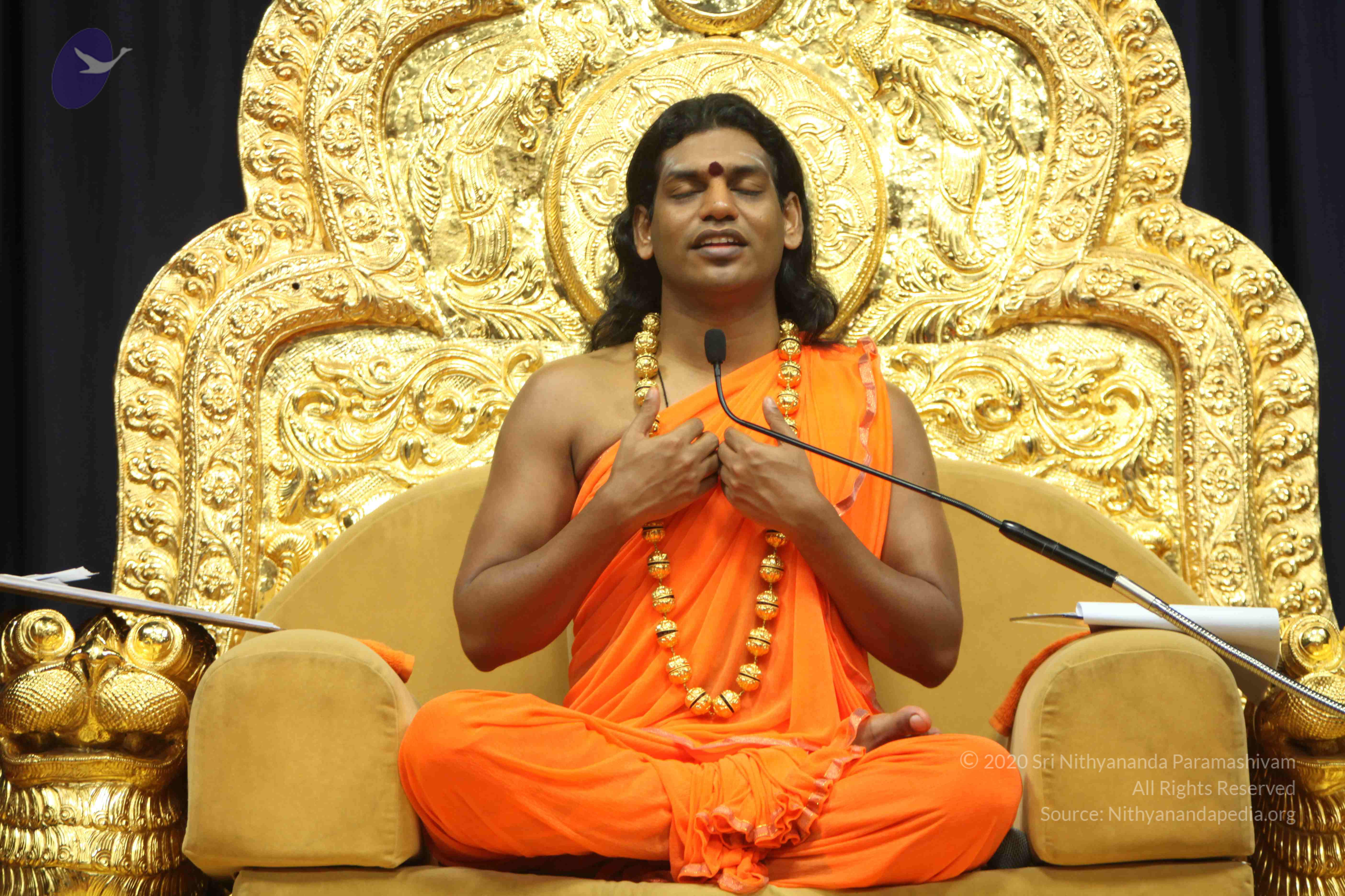 20110227_Photo_1359_IMG_9184_CMP_WM