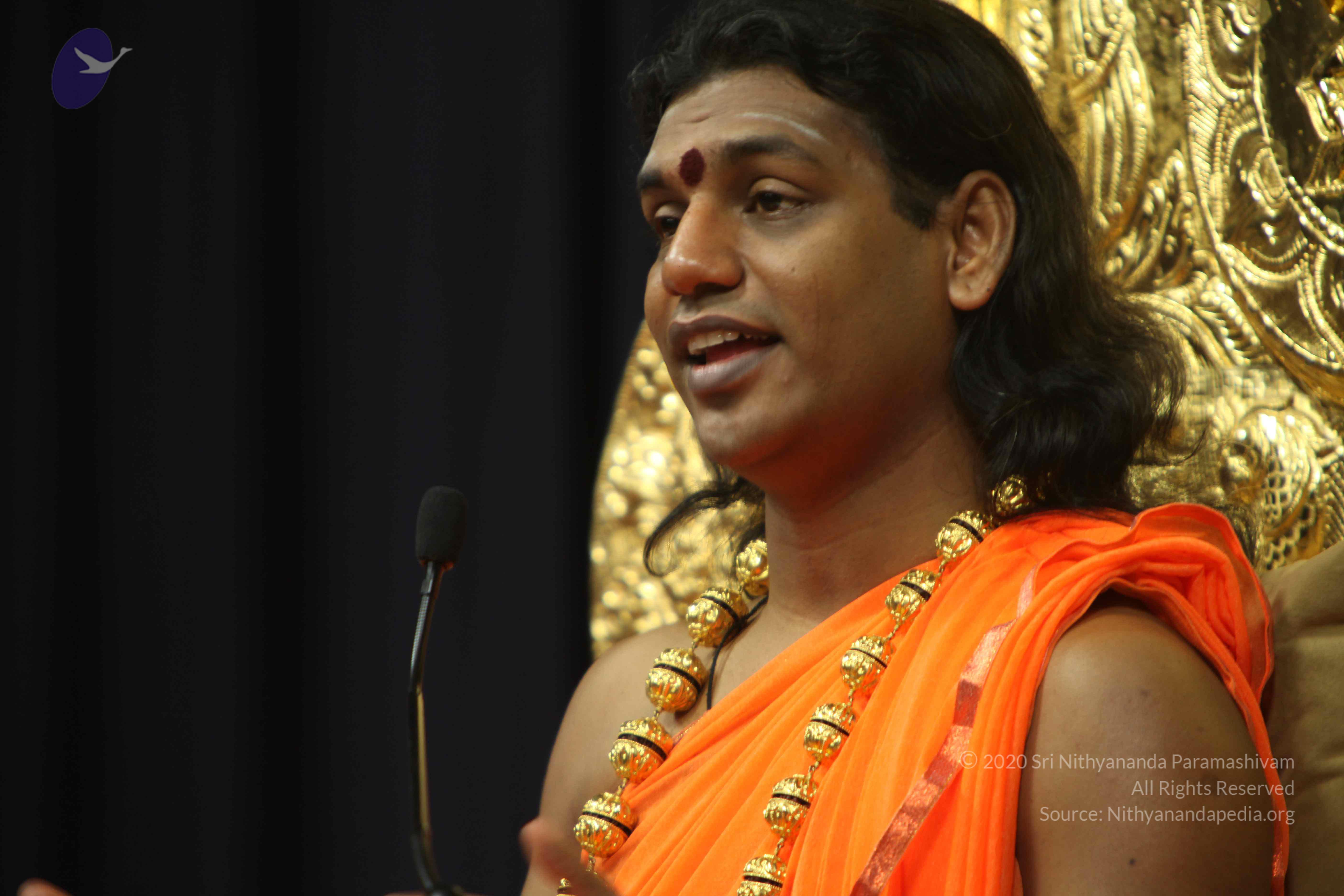 20110227_Photo_1362_IMG_9058_CMP_WM