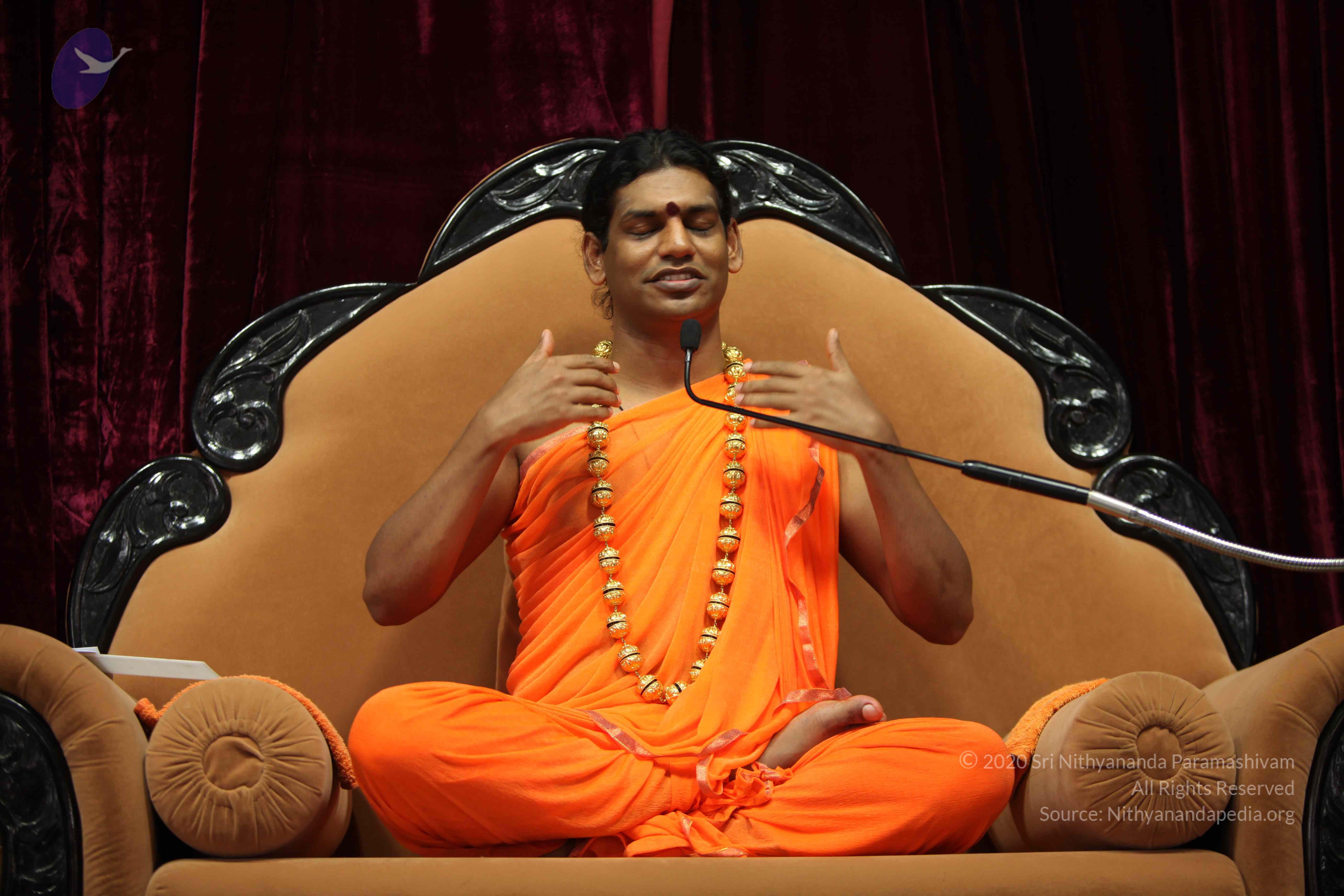 20110227_Photo_1369_IMG_9431_CMP_WM