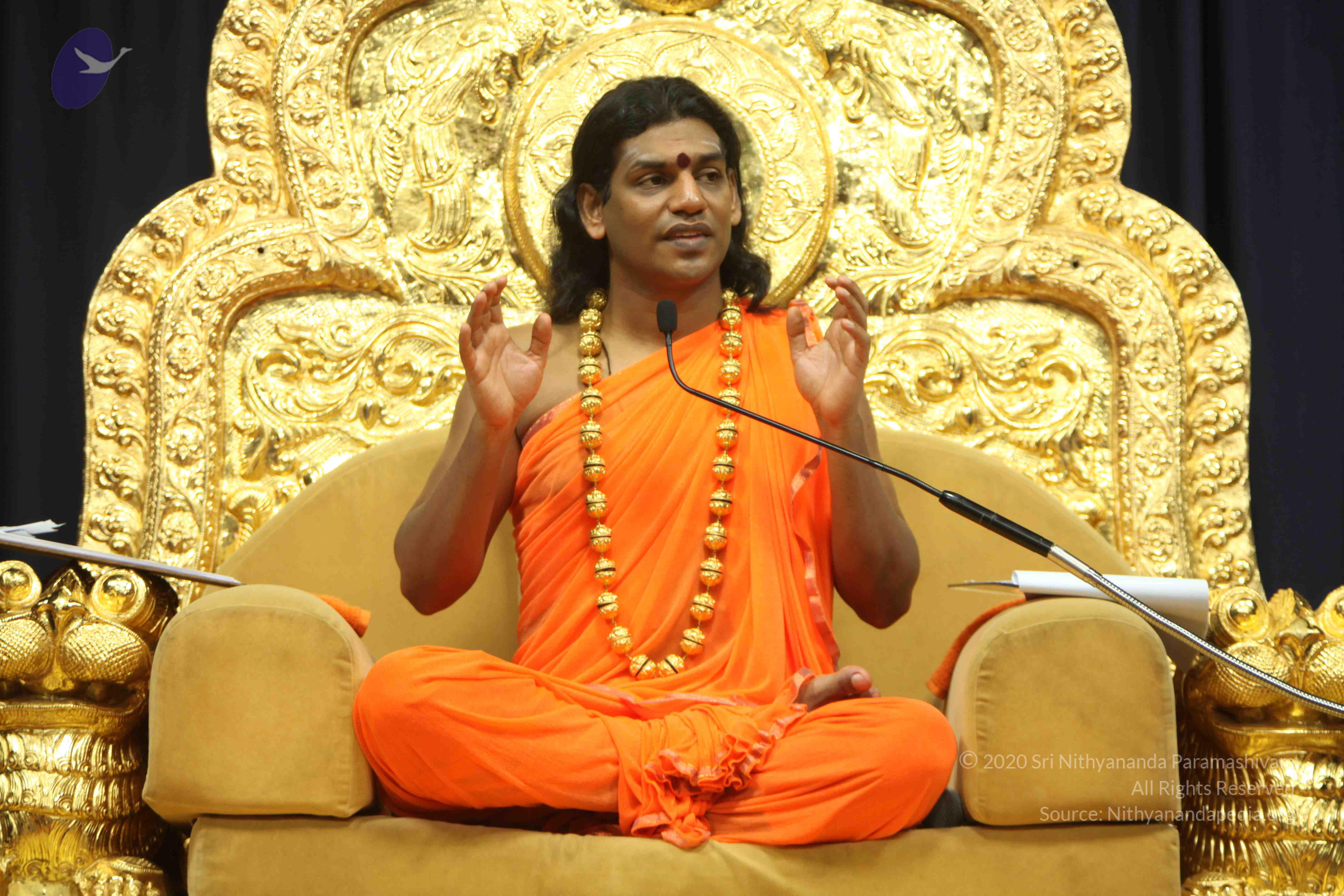 20110227_Photo_1370_IMG_9119_CMP_WM