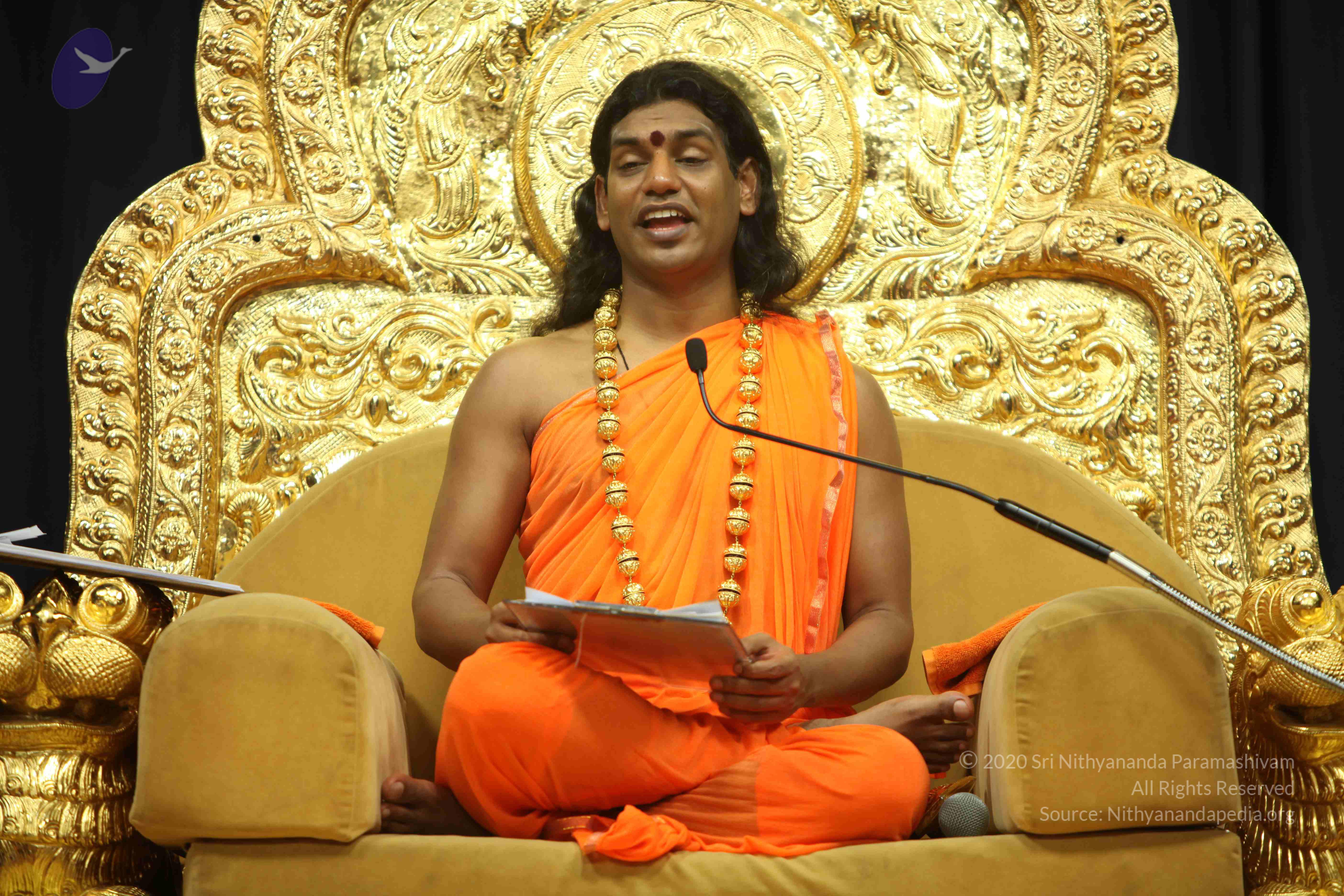 20110227_Photo_1380_IMG_9296_CMP_WM