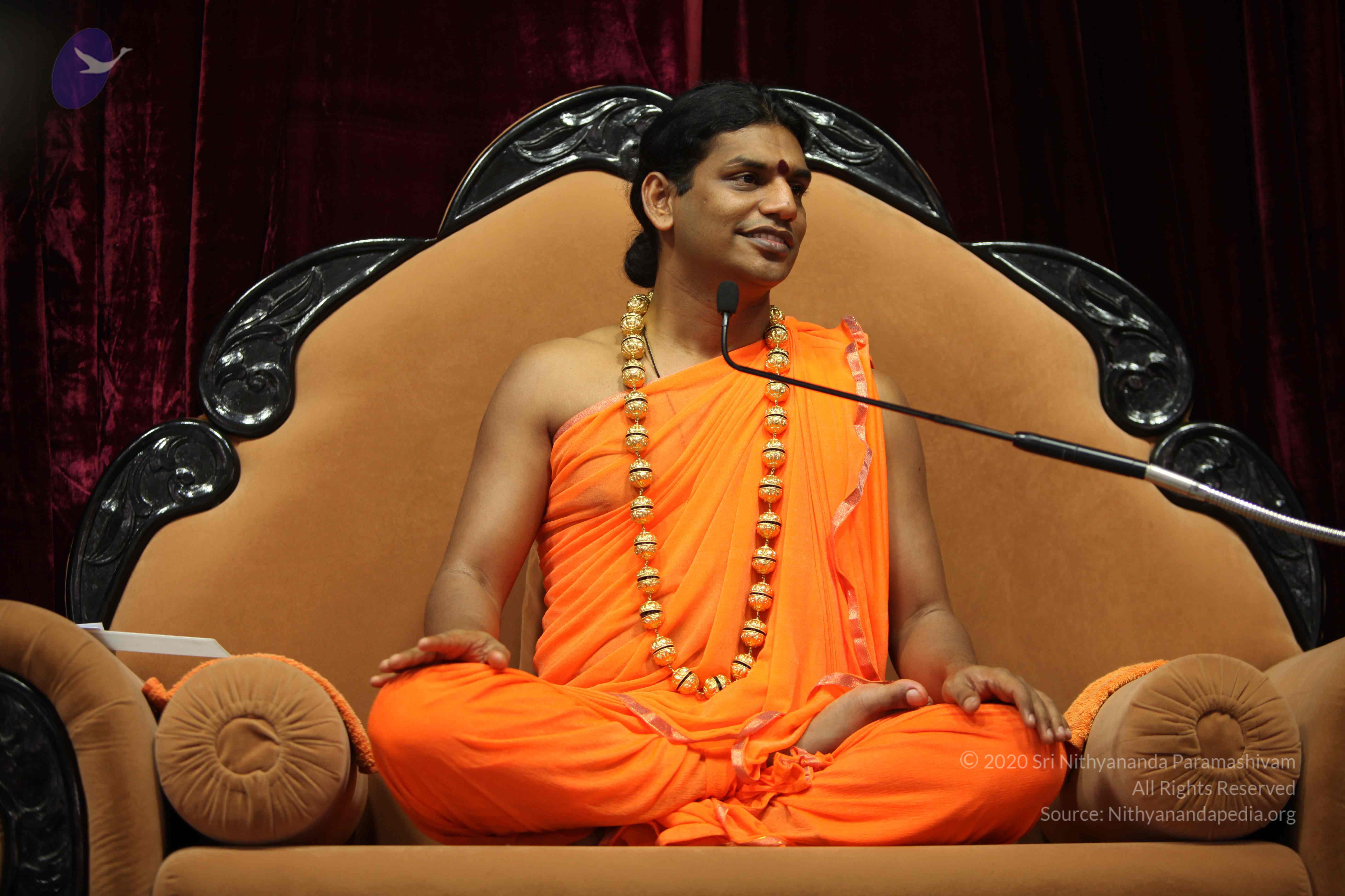 20110227_Photo_1383_IMG_9461_CMP_WM