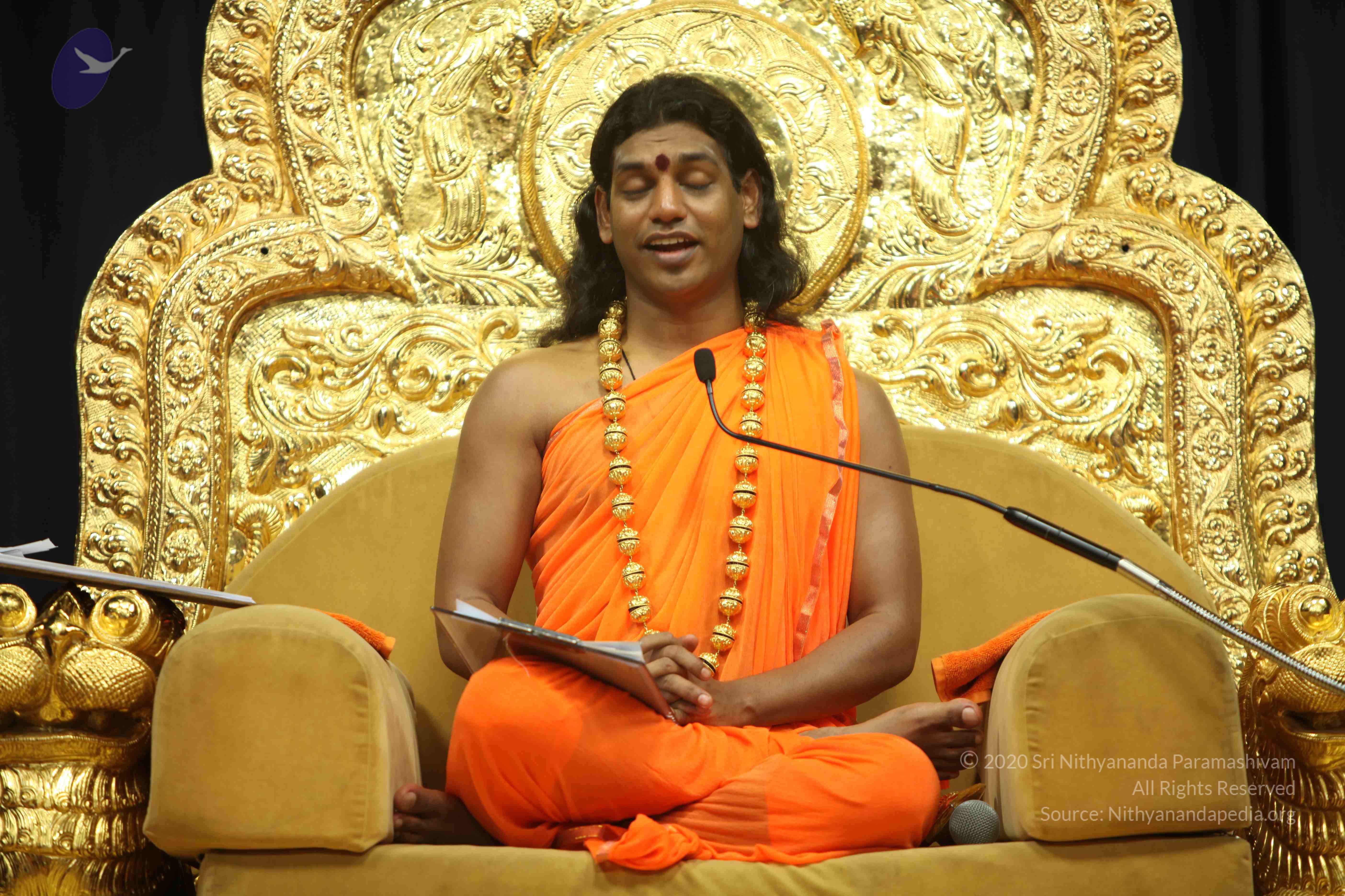 20110227_Photo_1384_IMG_9303_CMP_WM