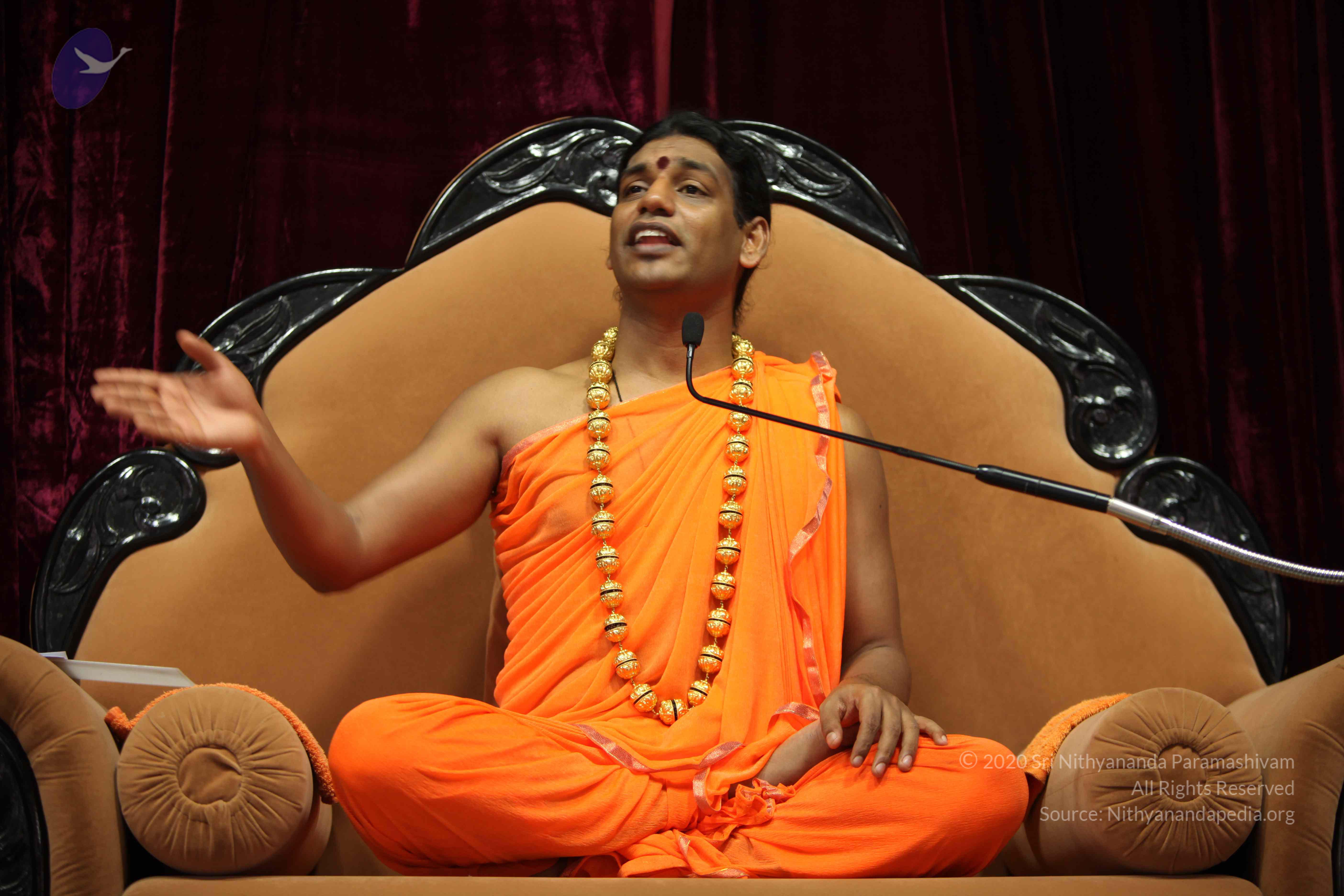 20110227_Photo_1385_IMG_9456_CMP_WM