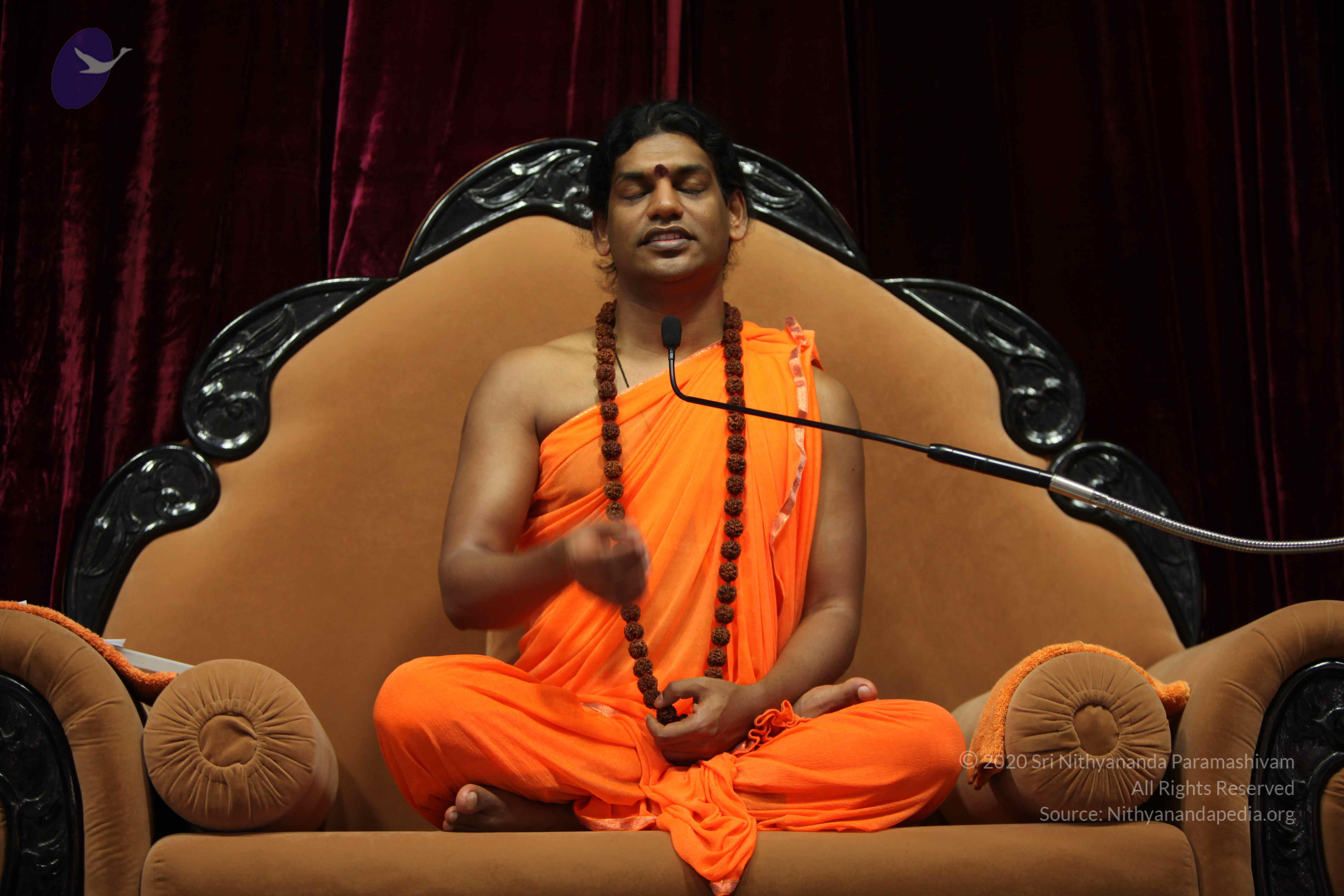 20110227_Photo_1392_IMG_9517_CMP_WM