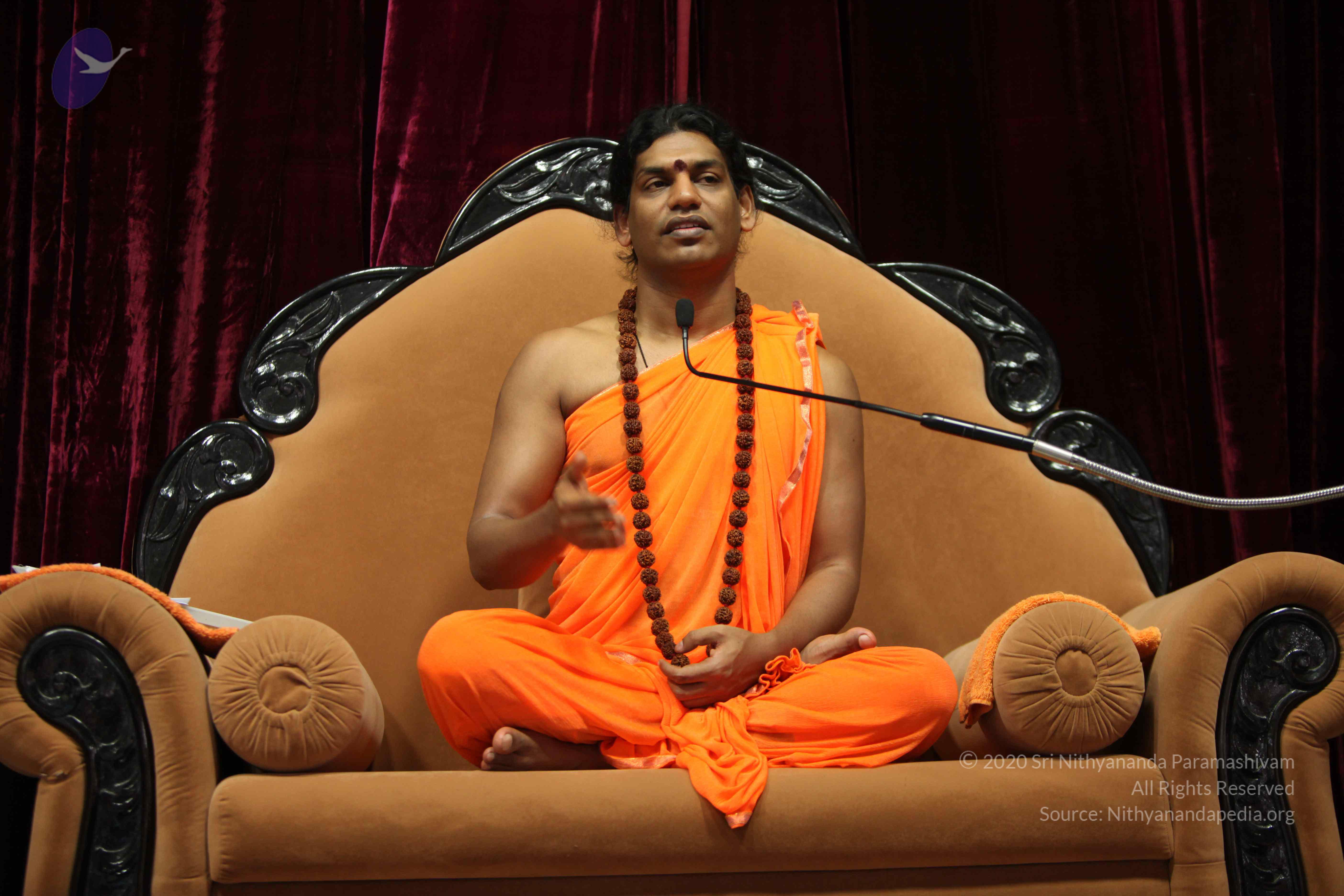 20110227_Photo_1394_IMG_9520_CMP_WM