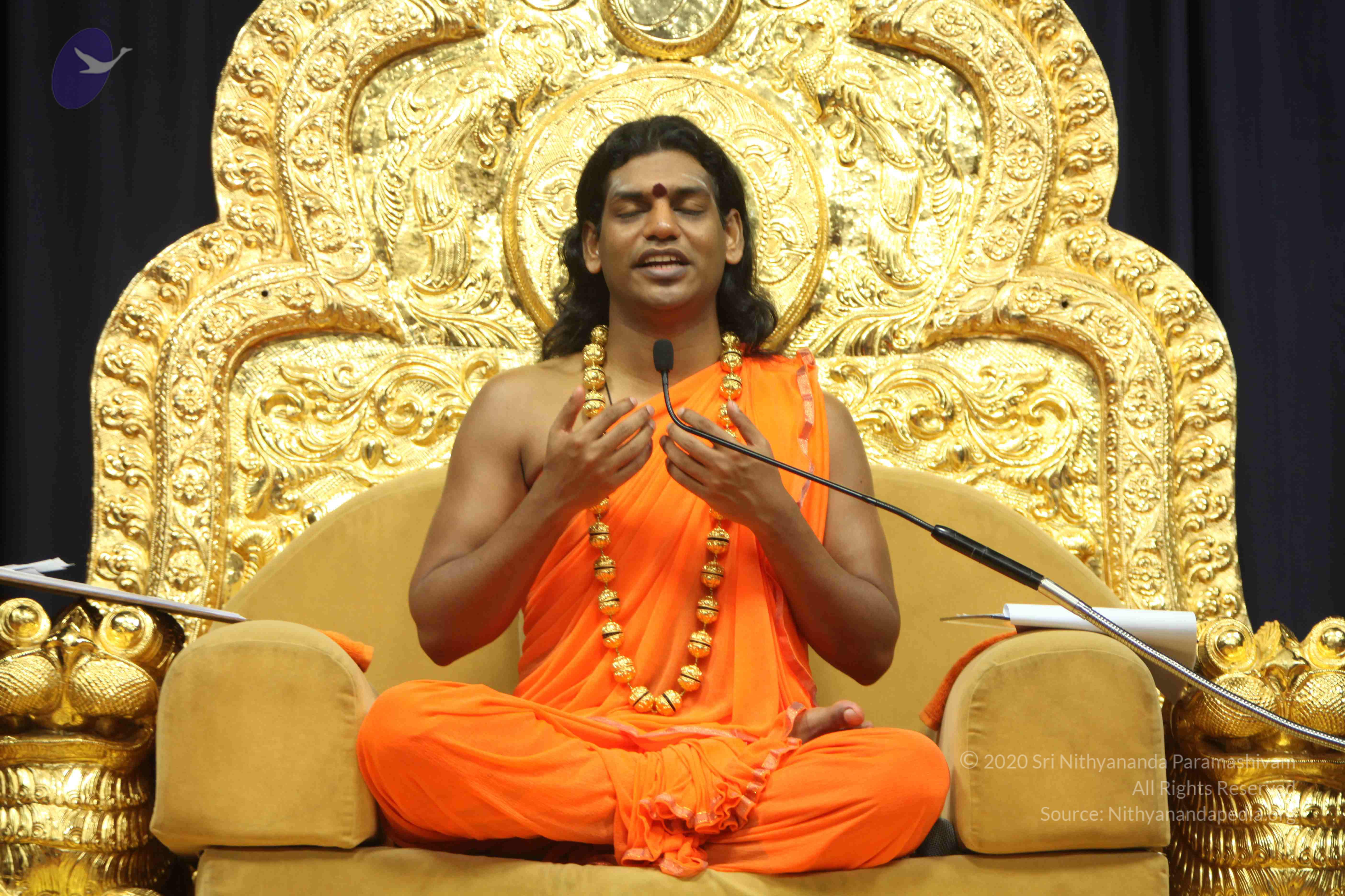 20110227_Photo_1396_IMG_9181_CMP_WM