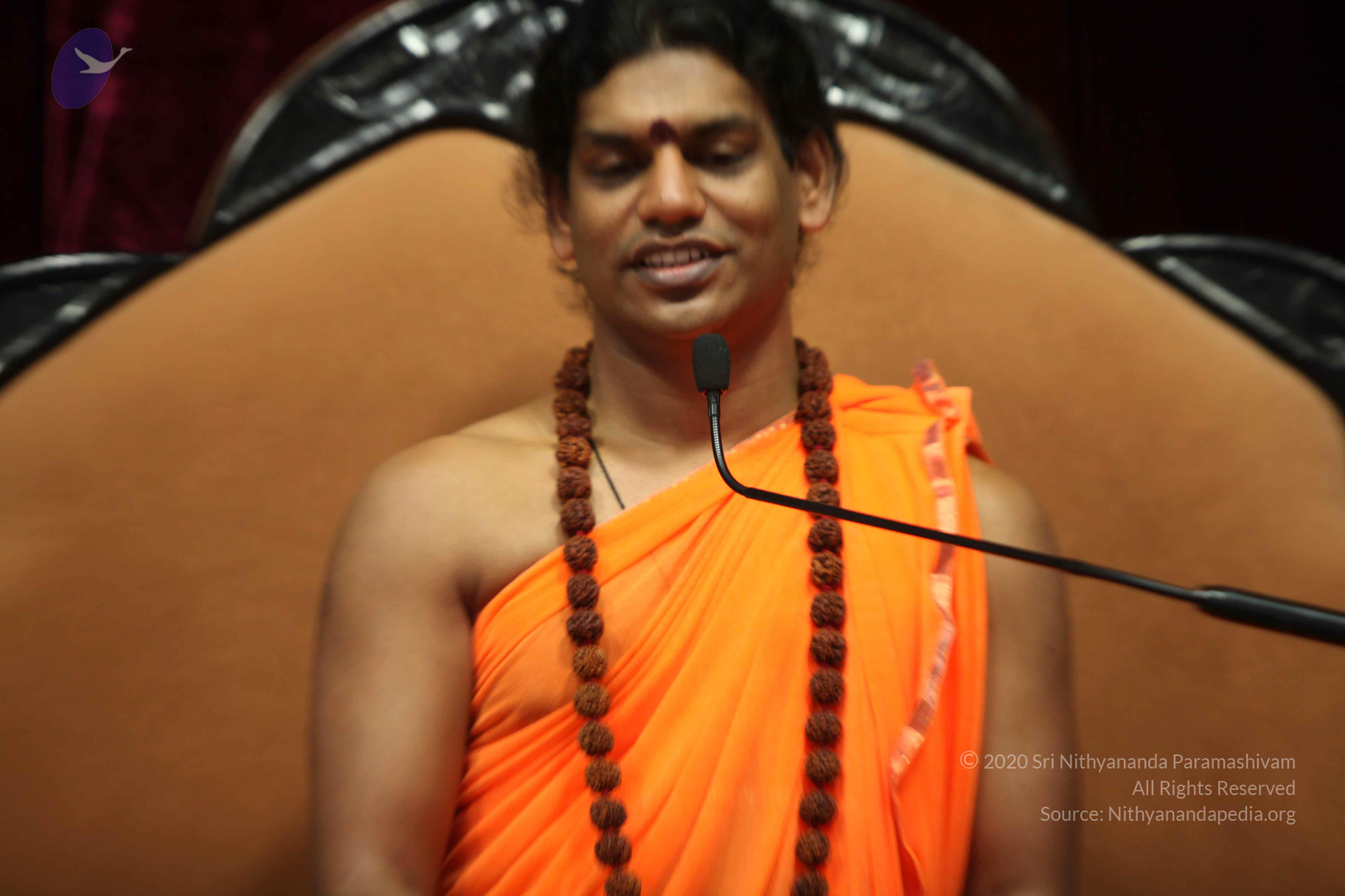 20110227_Photo_1400_IMG_9531_CMP_WM