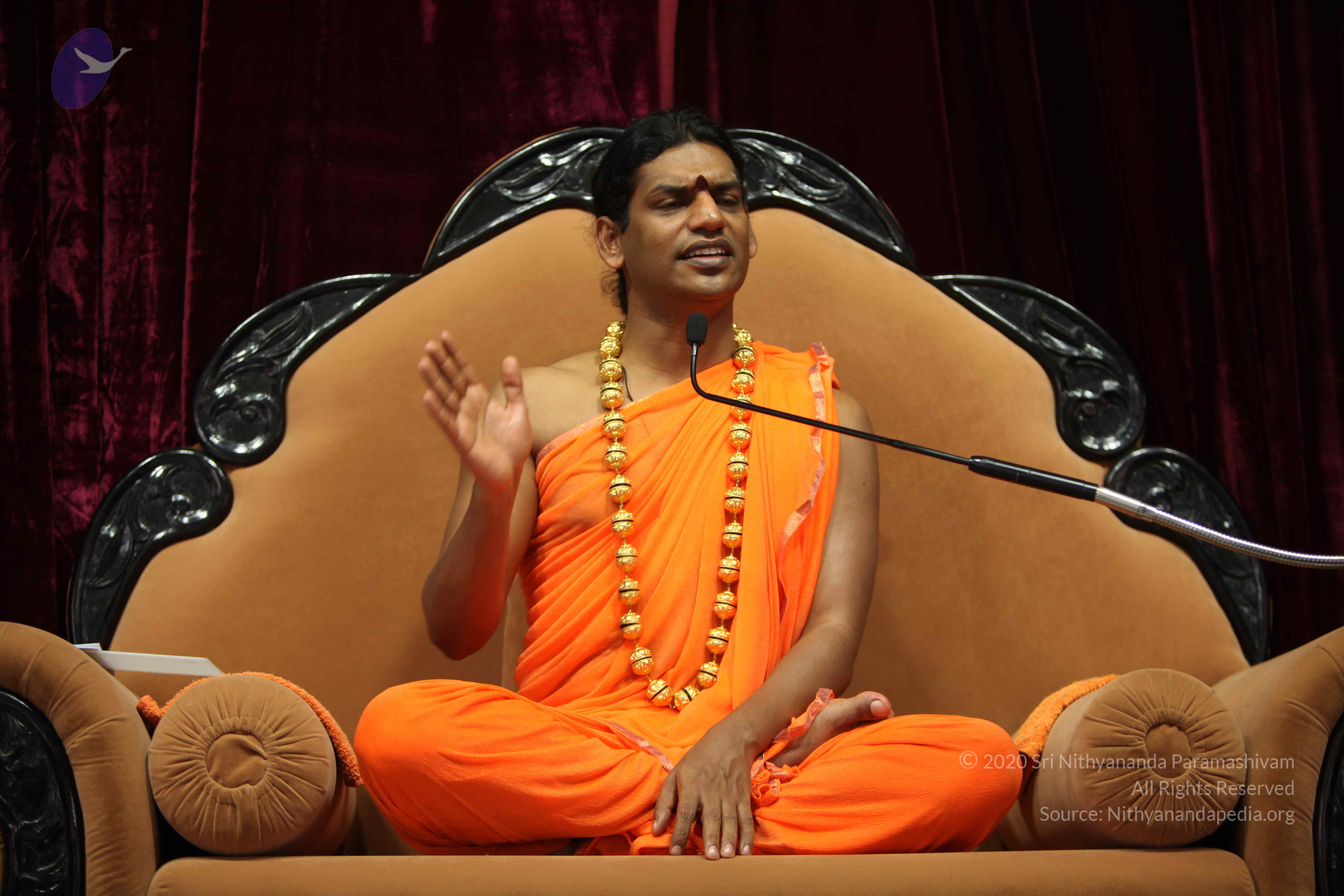 20110227_Photo_1401_IMG_9425_CMP_WM