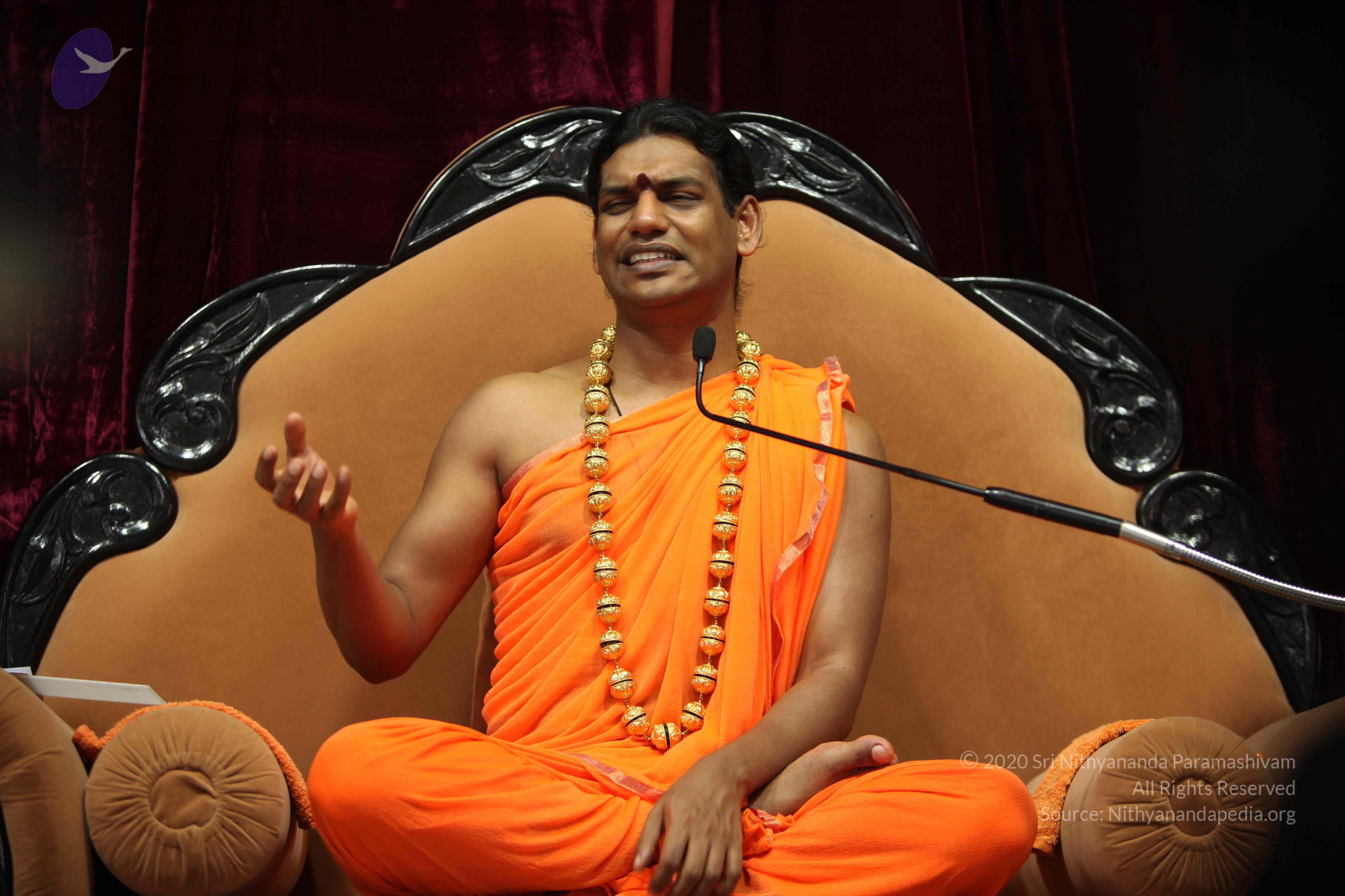 20110227_Photo_1408_IMG_9470_CMP_WM