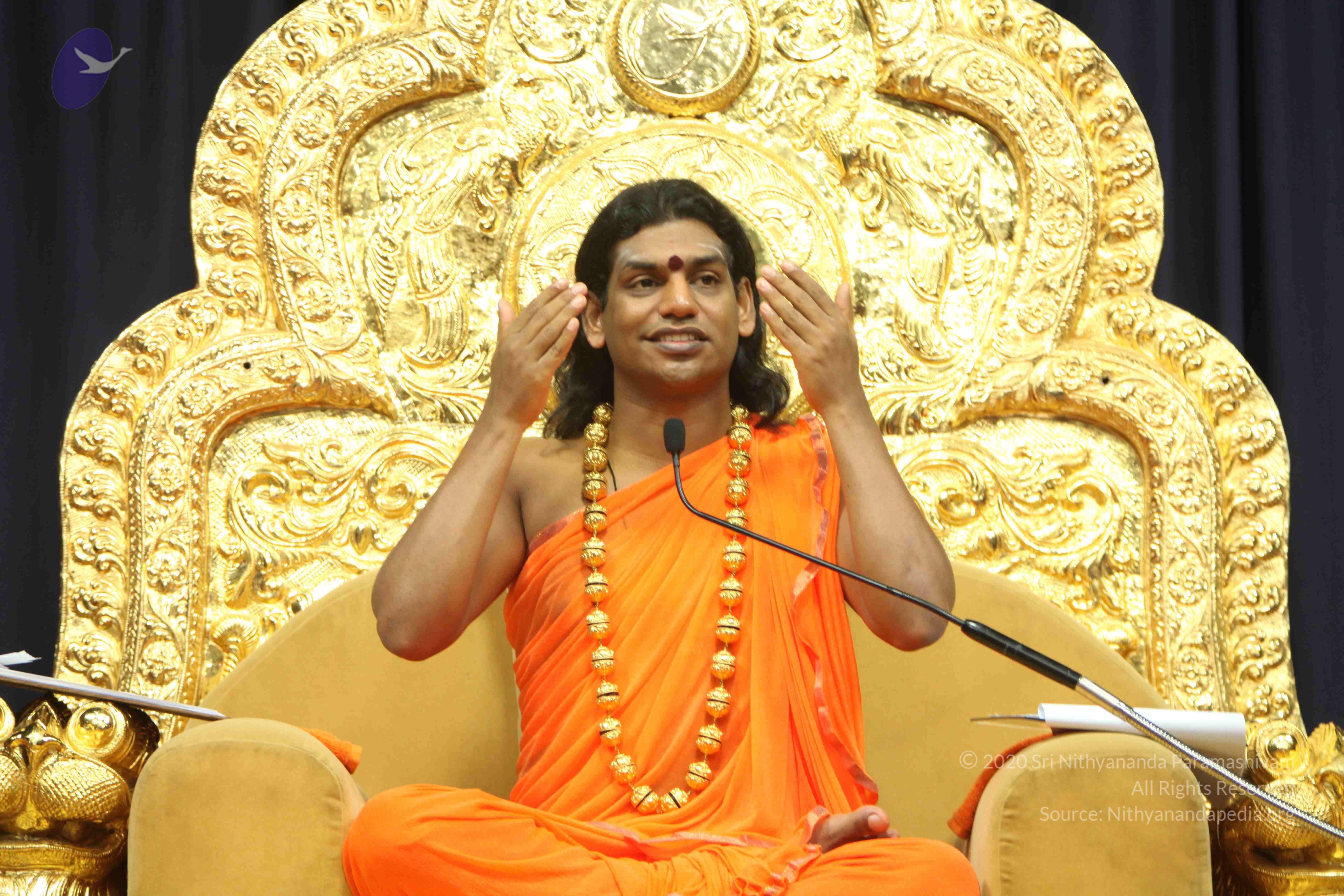 20110227_Photo_1412_IMG_9111_CMP_WM