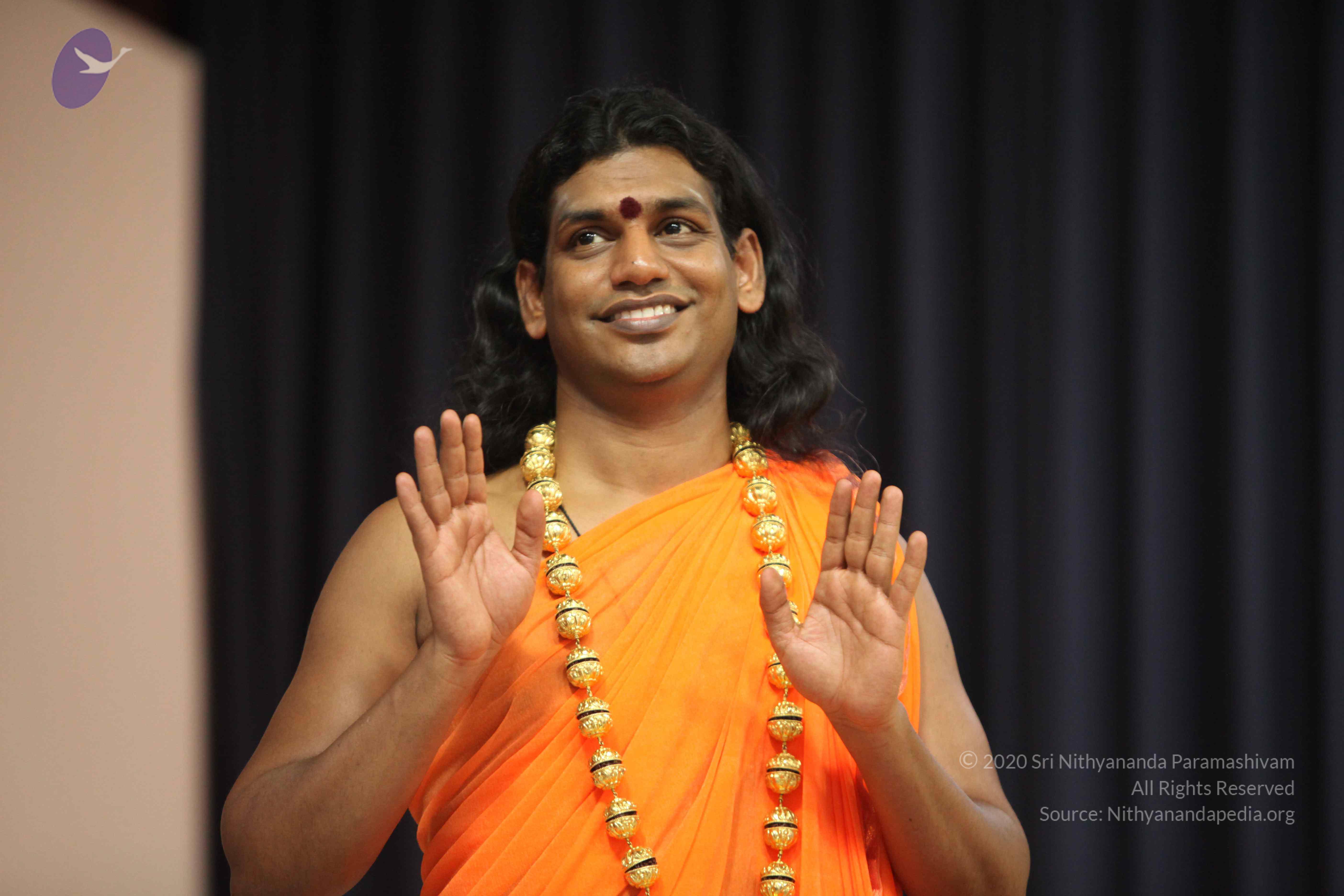 20110227_Photo_1050_IMG_9382_CMP_WM