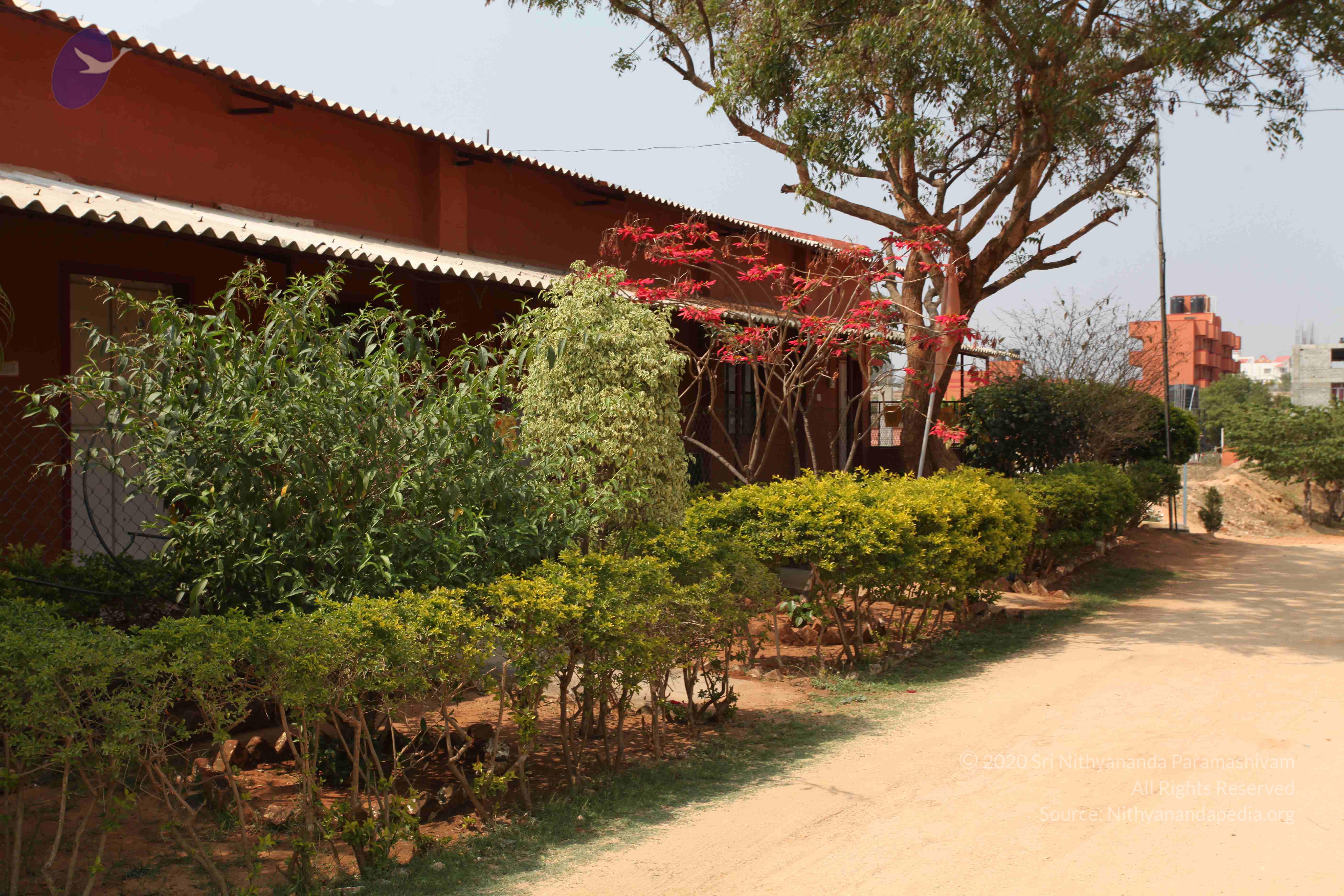 20110227_Photo_1040_IMG_9491_CMP_WM