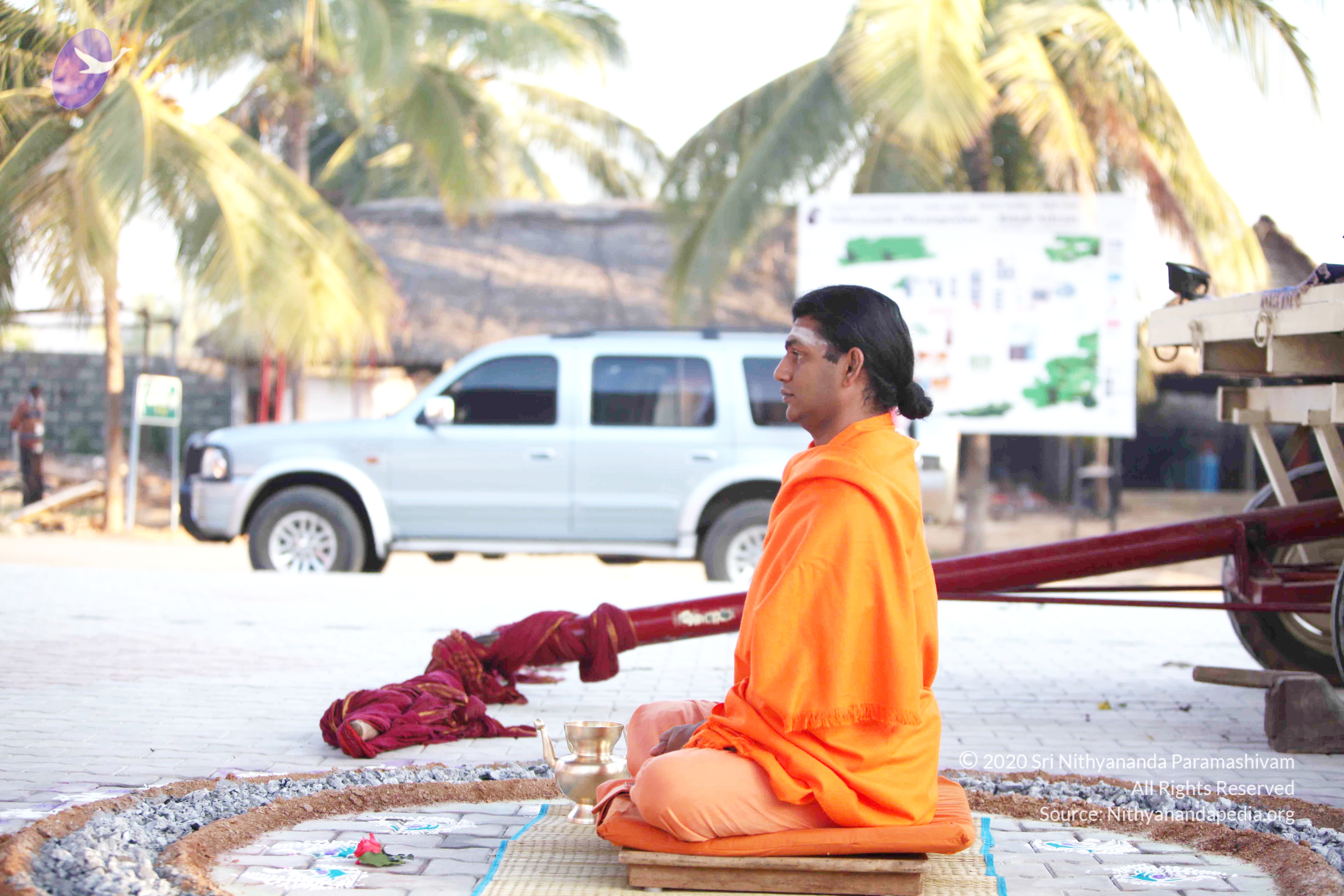 20110121_Photo_1000_IMG_1931_CMP_WM