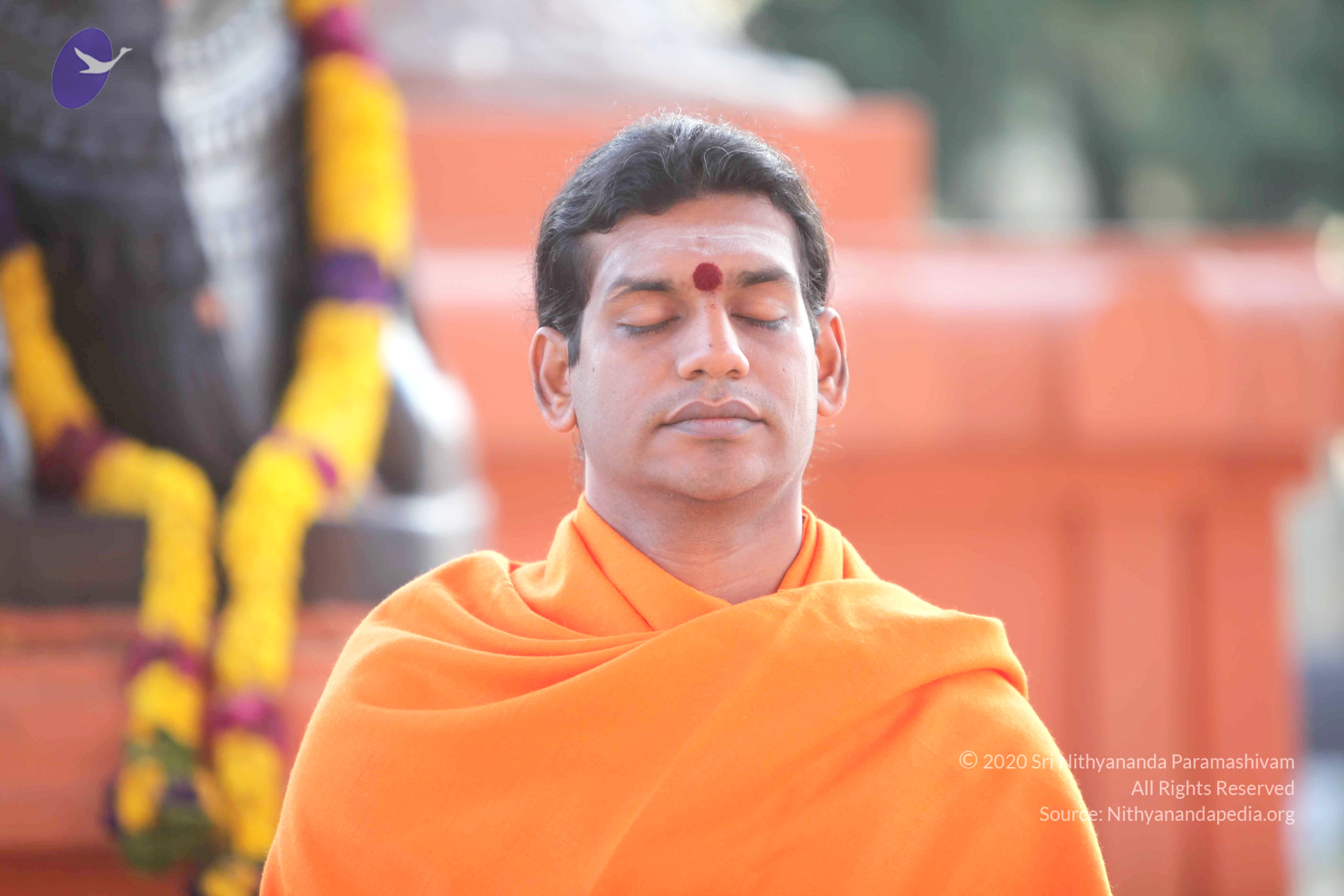 20110121_Photo_1002_IMG_1953_CMP_WM