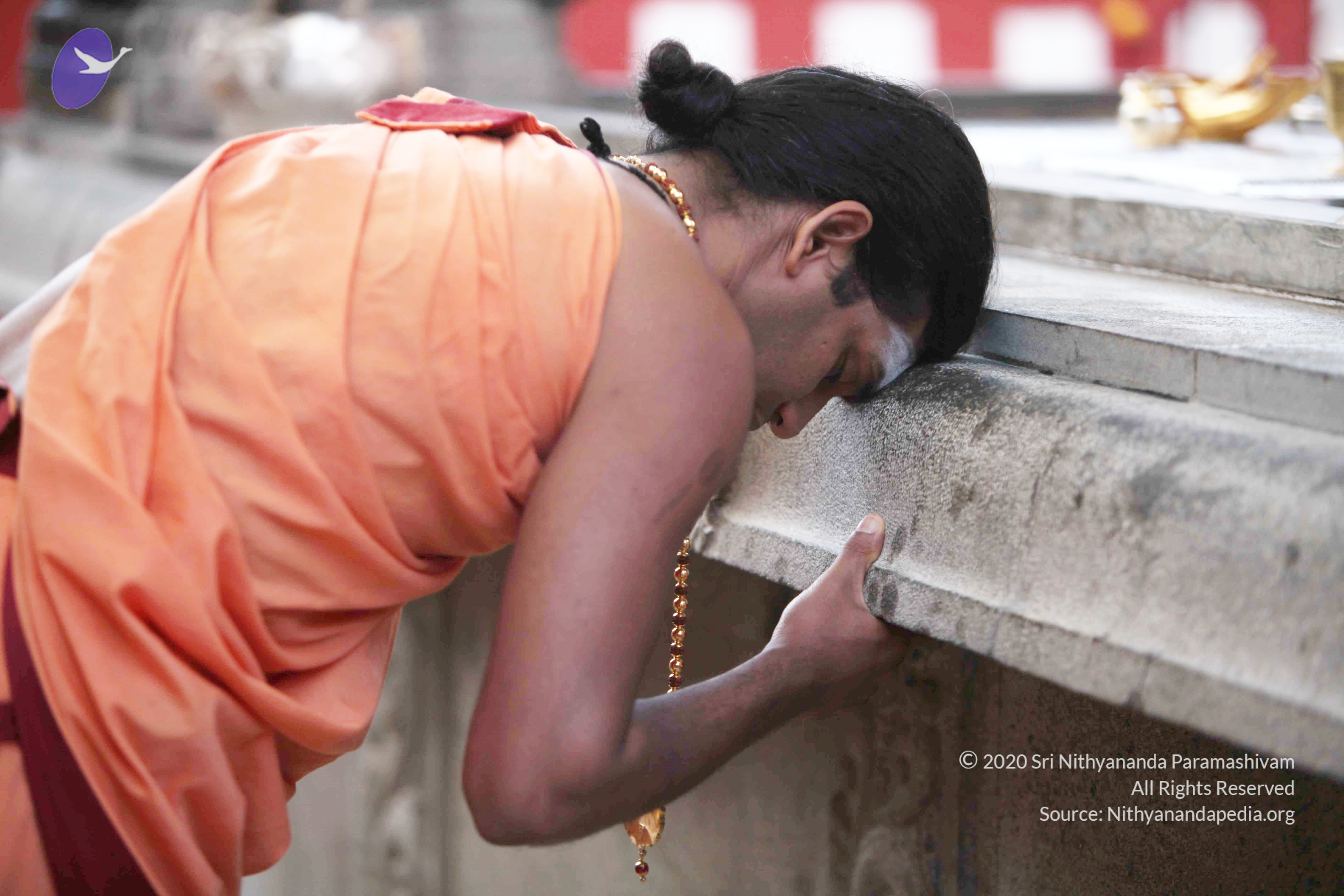 20110121_Photo_1004_IMG_1847_CMP_WM