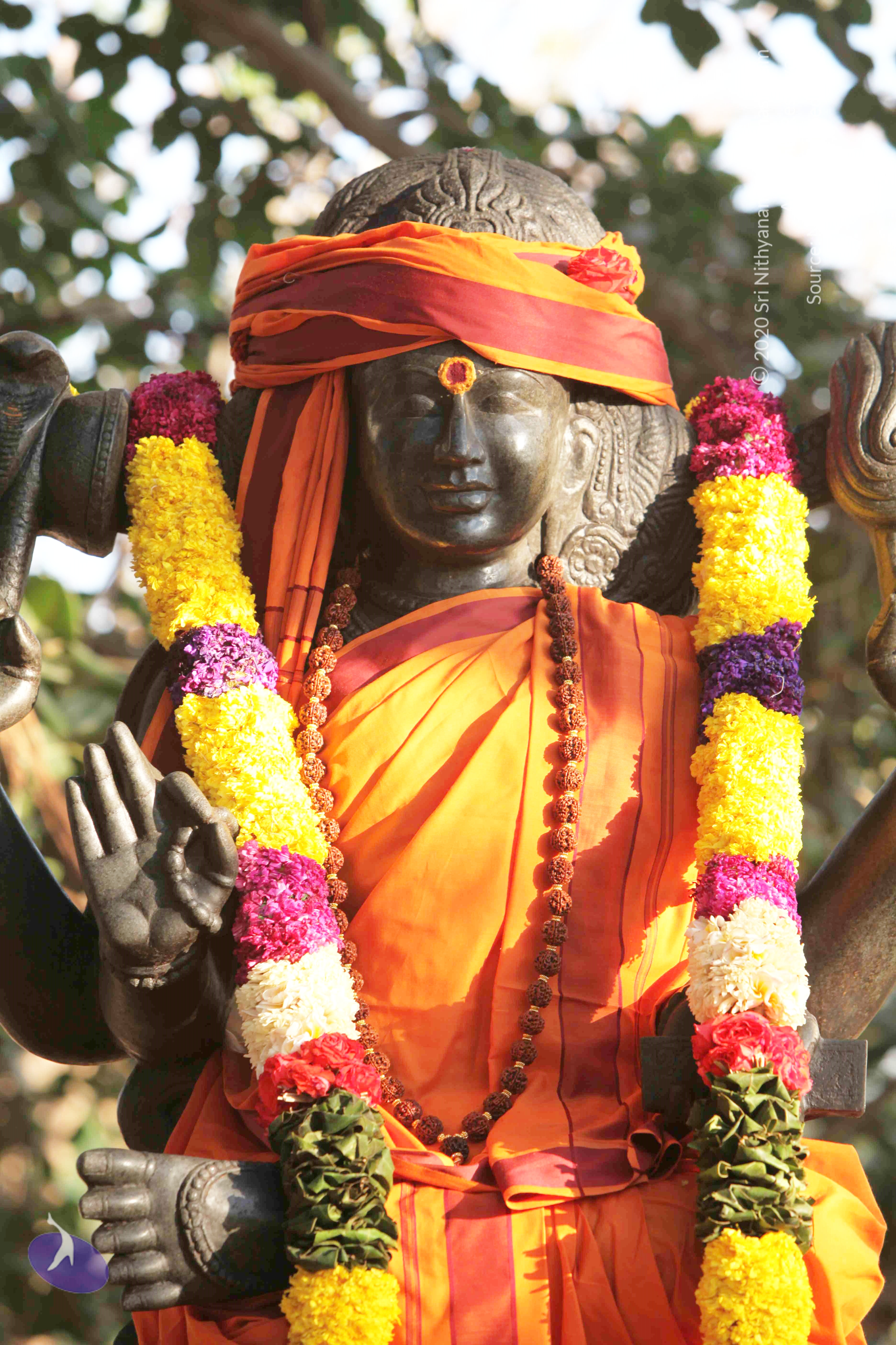 20110121_Photo_1008_IMG_2071_CMP_WM