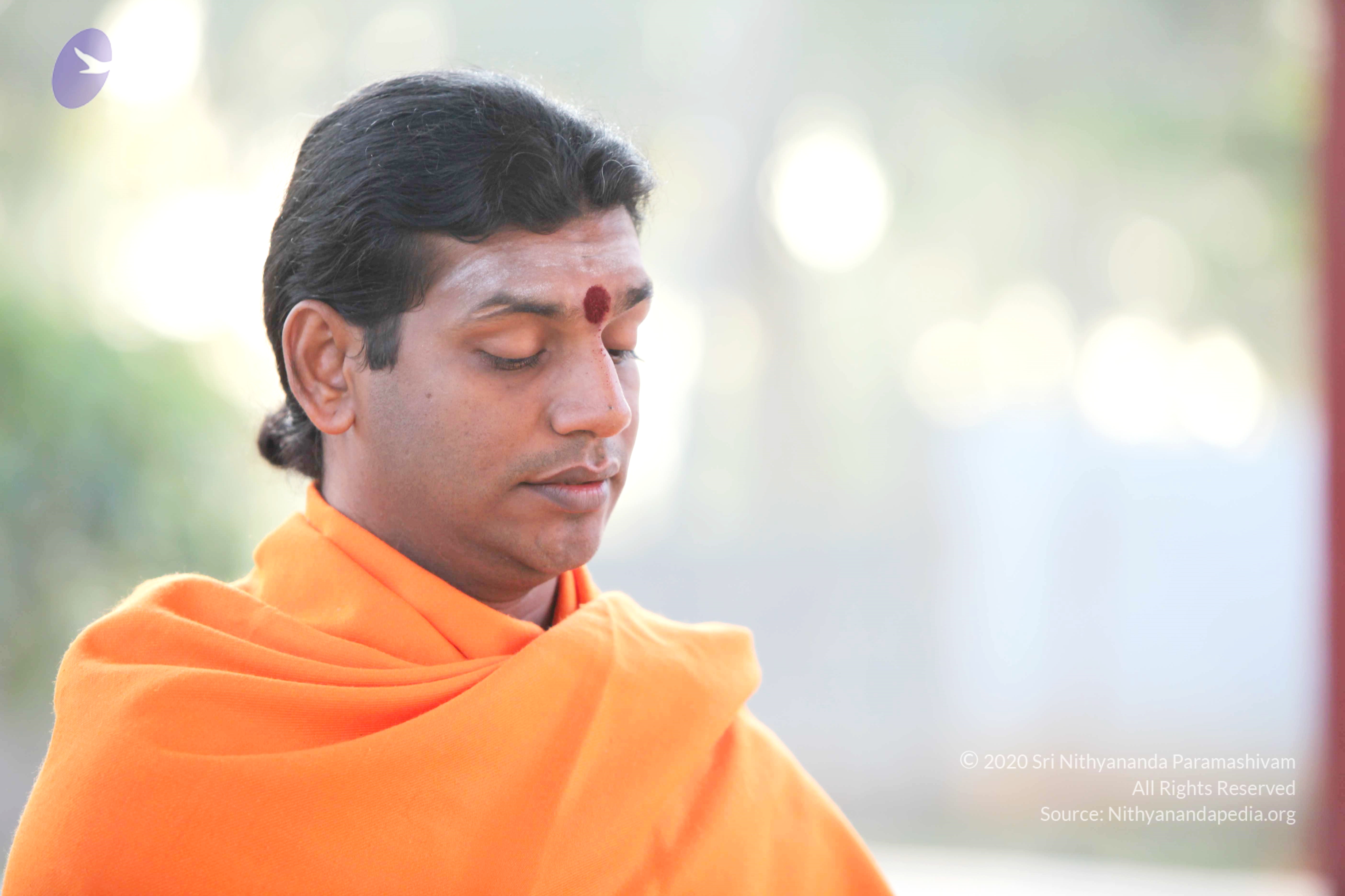 20110121_Photo_1011_IMG_1978_CMP_WM