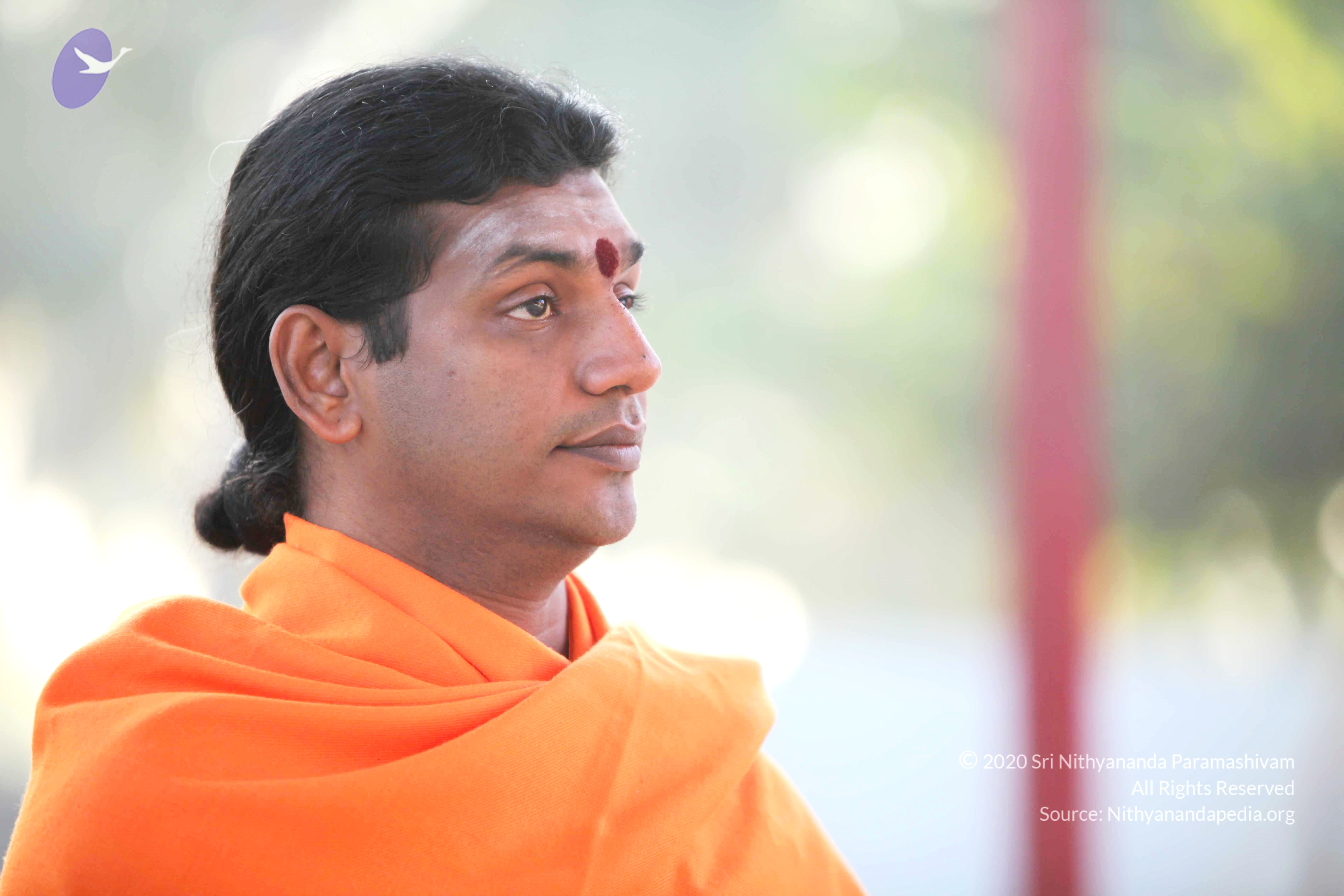 20110121_Photo_1012_IMG_1987_CMP_WM