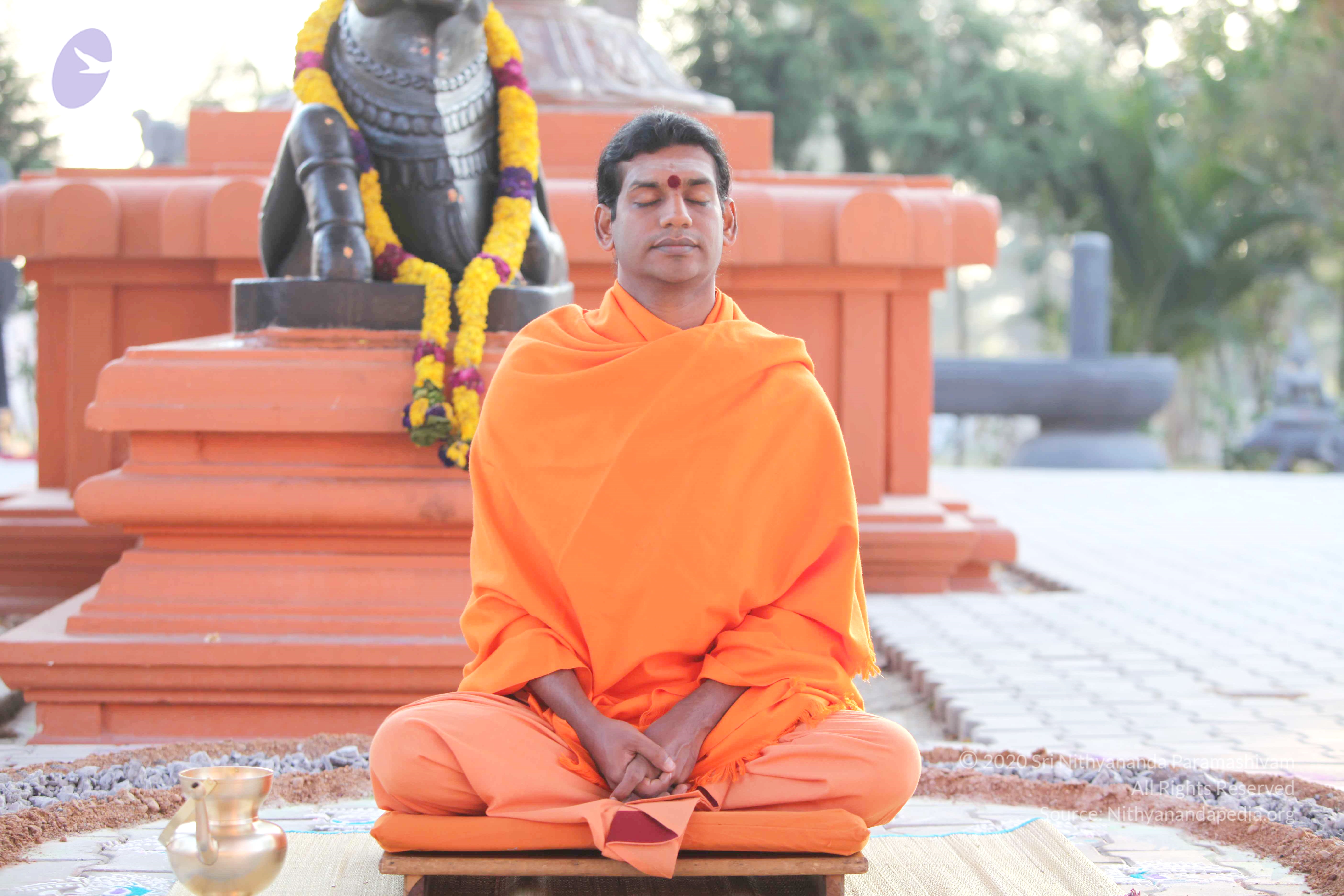 20110121_Photo_1110_IMG_1948_CMP_WM