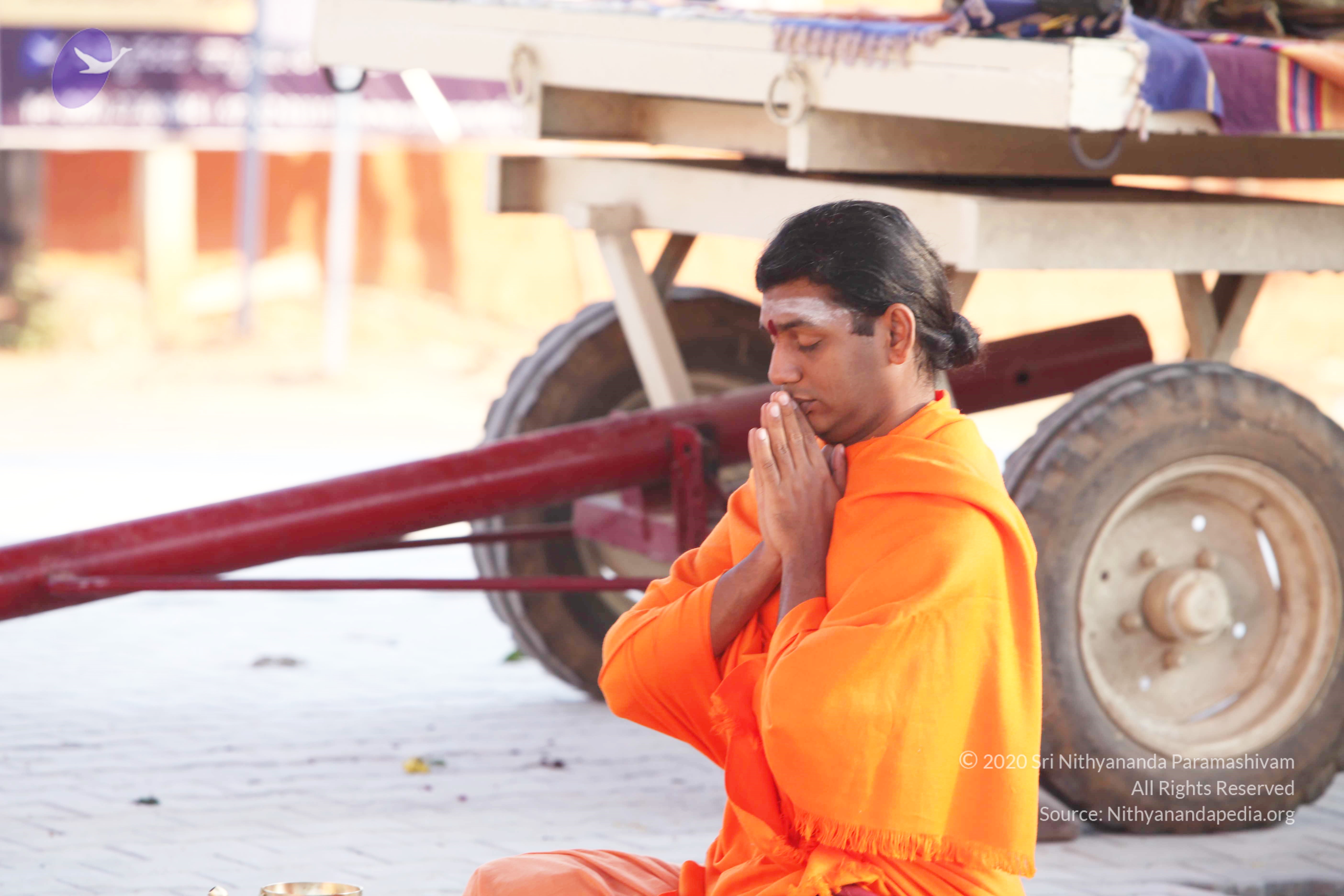 20110121_Photo_1111_IMG_2023_CMP_WM