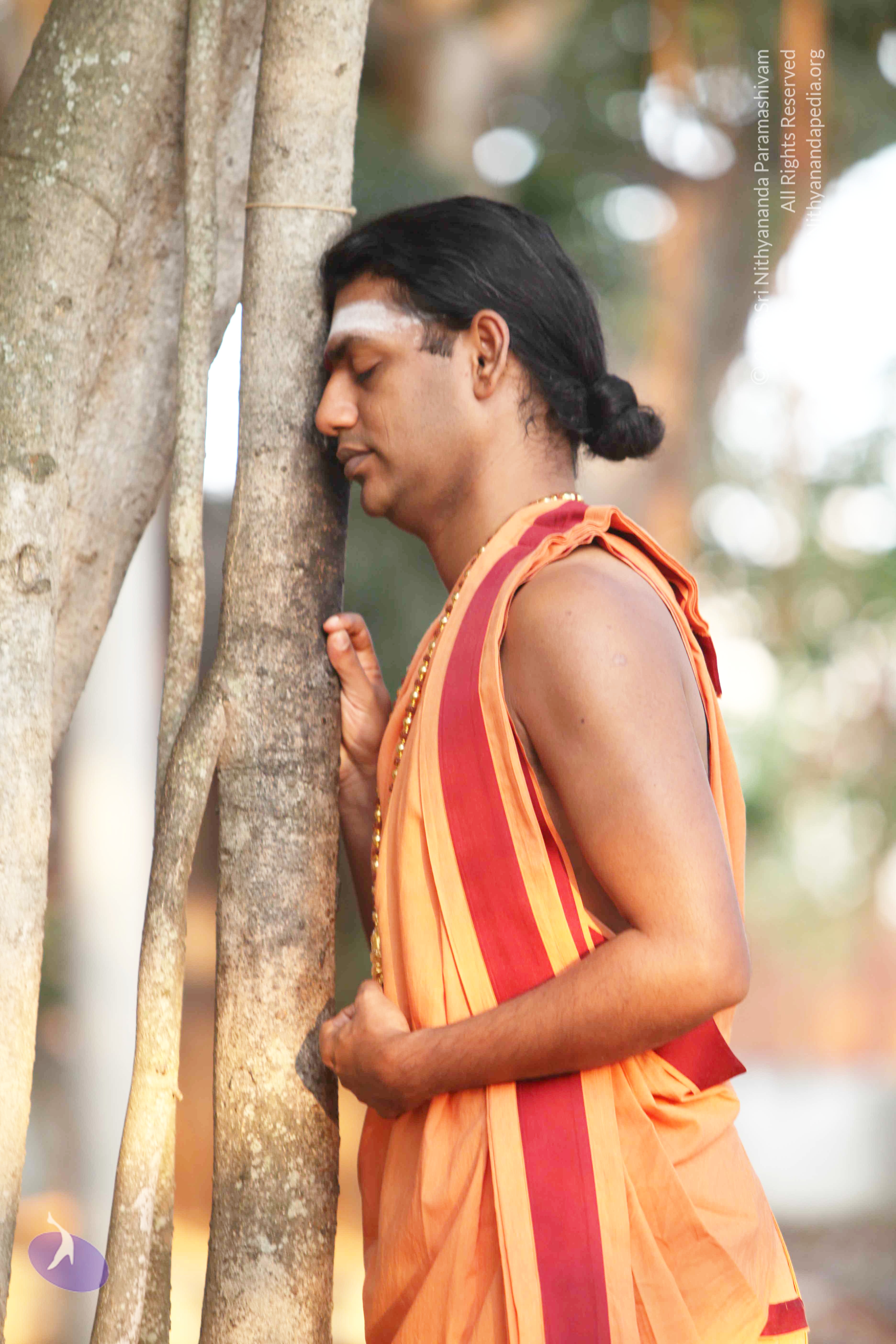 20110121_Photo_1113_IMG_1888_CMP_WM