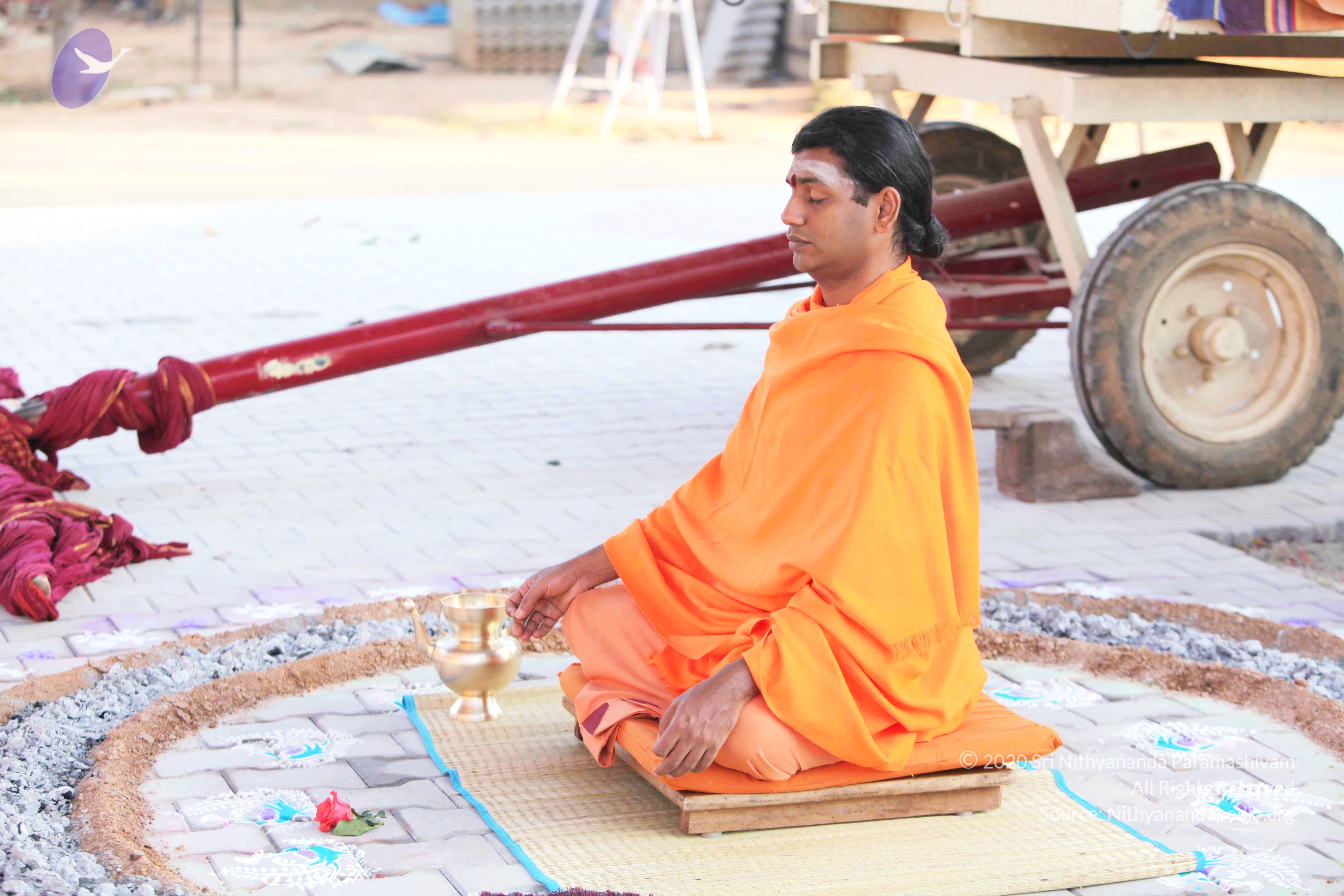 20110121_Photo_1116_IMG_2008_CMP_WM