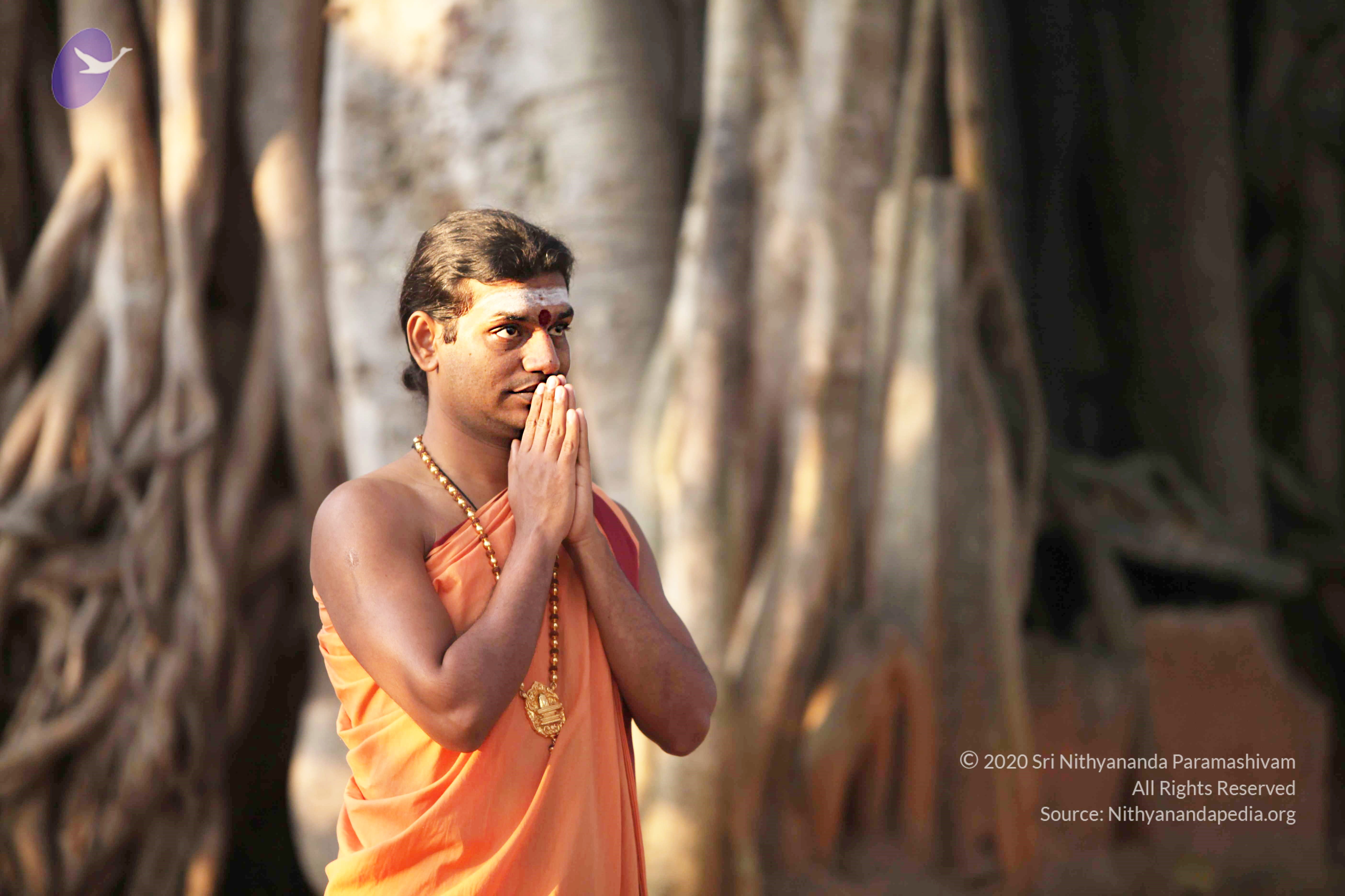 20110121_Photo_1117_IMG_1877_CMP_WM