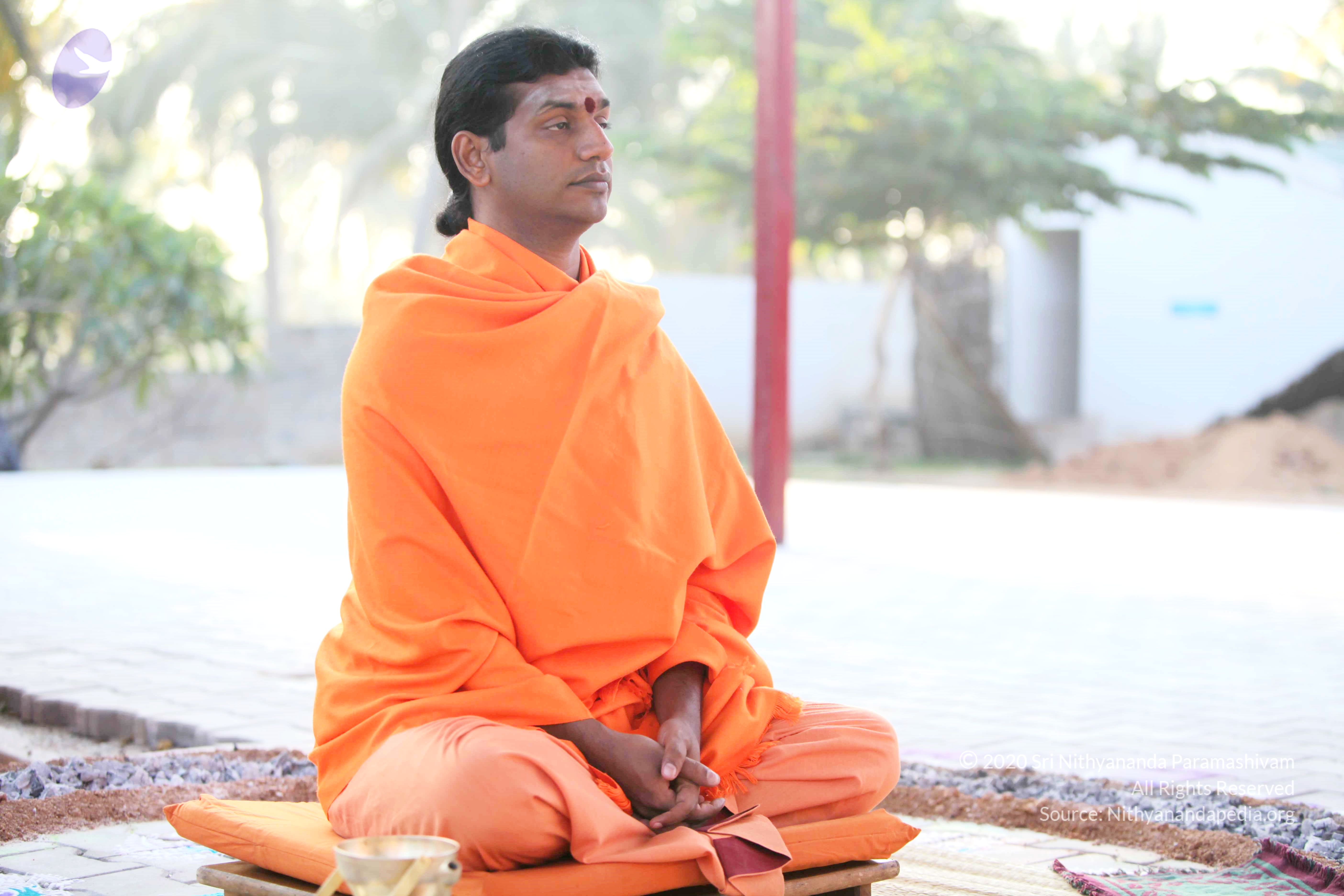 20110121_Photo_1120_IMG_1992_CMP_WM