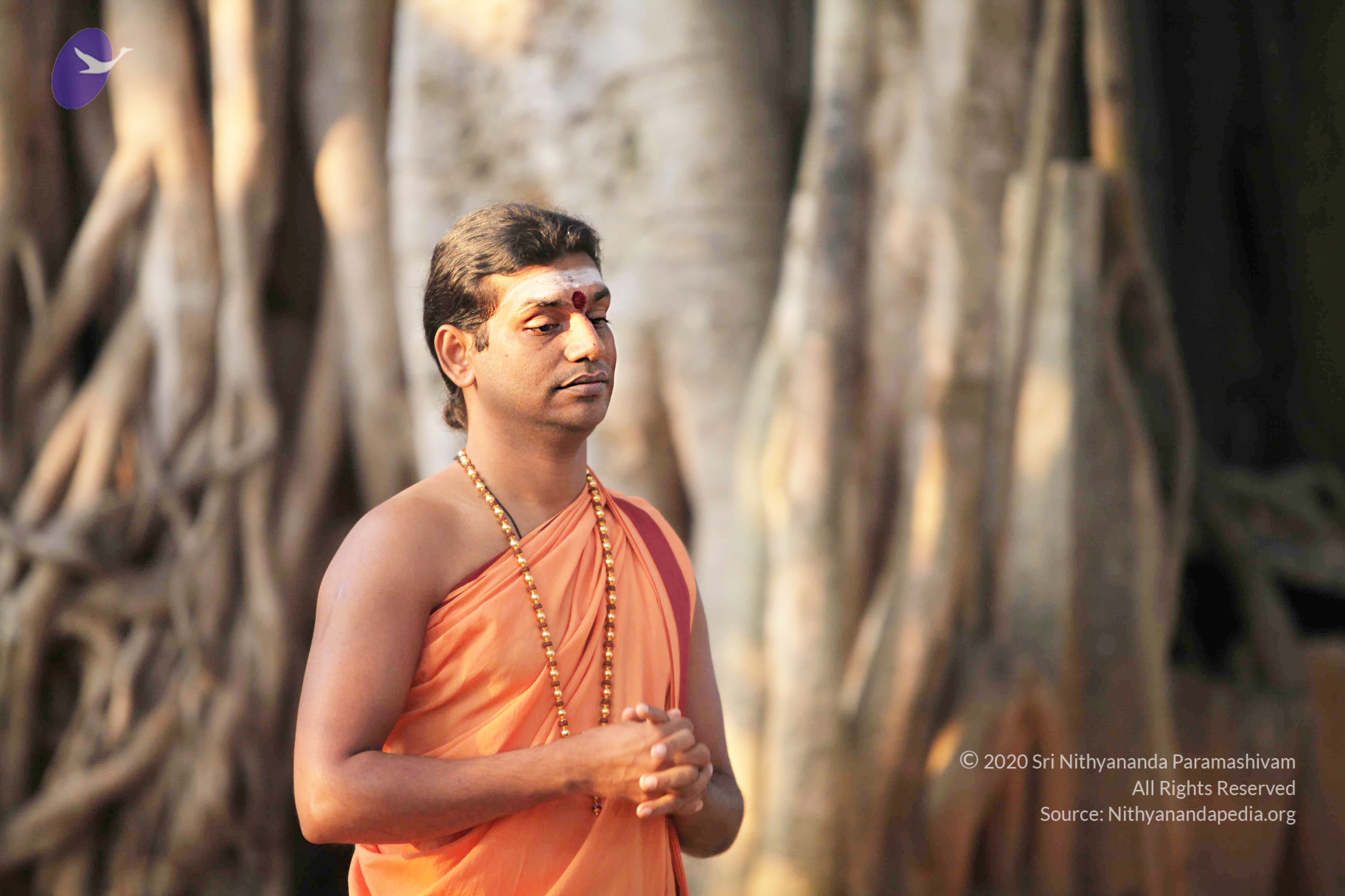 20110121_Photo_1122_IMG_1879_CMP_WM