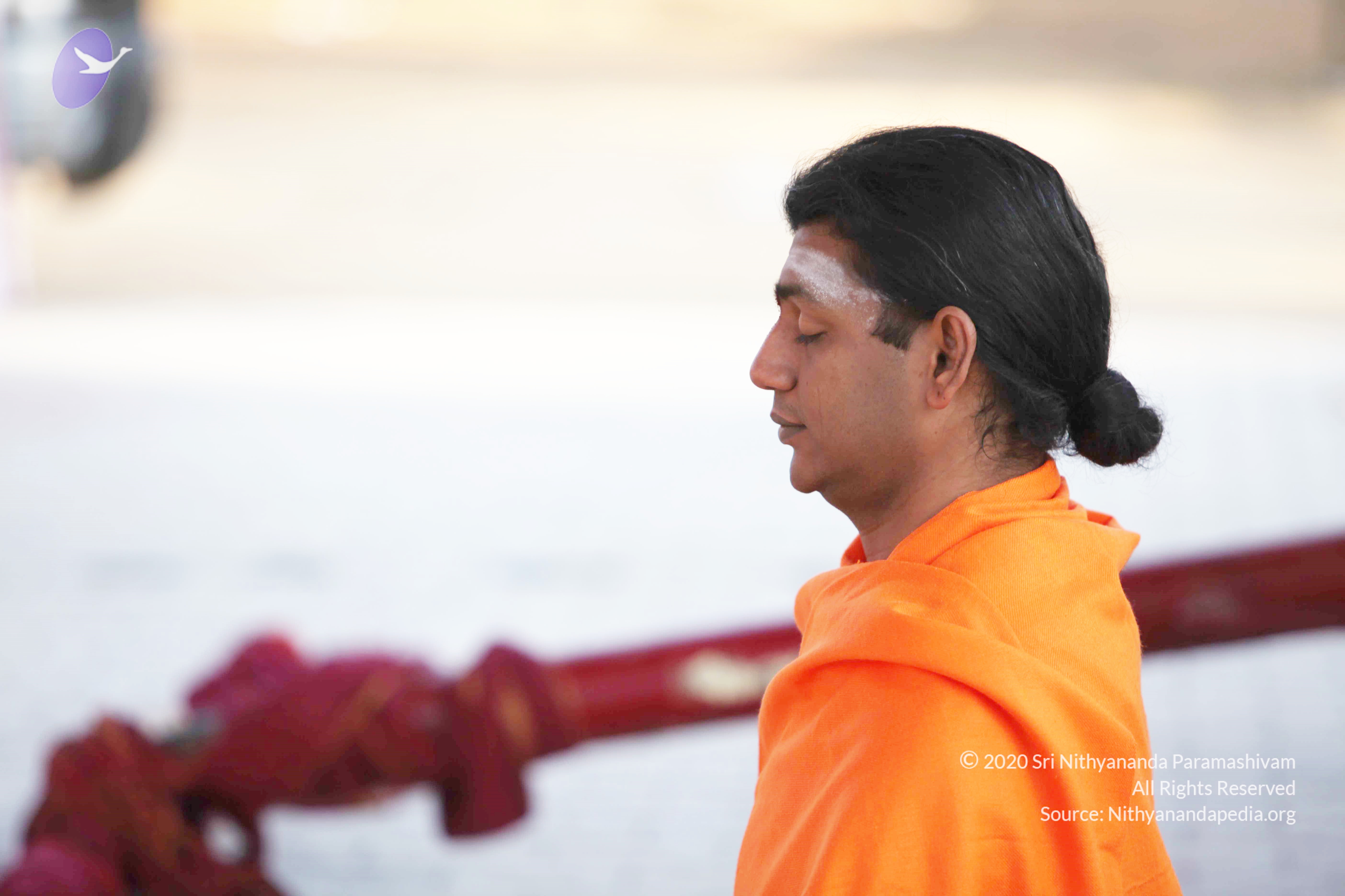 20110121_Photo_1124_IMG_2006_CMP_WM