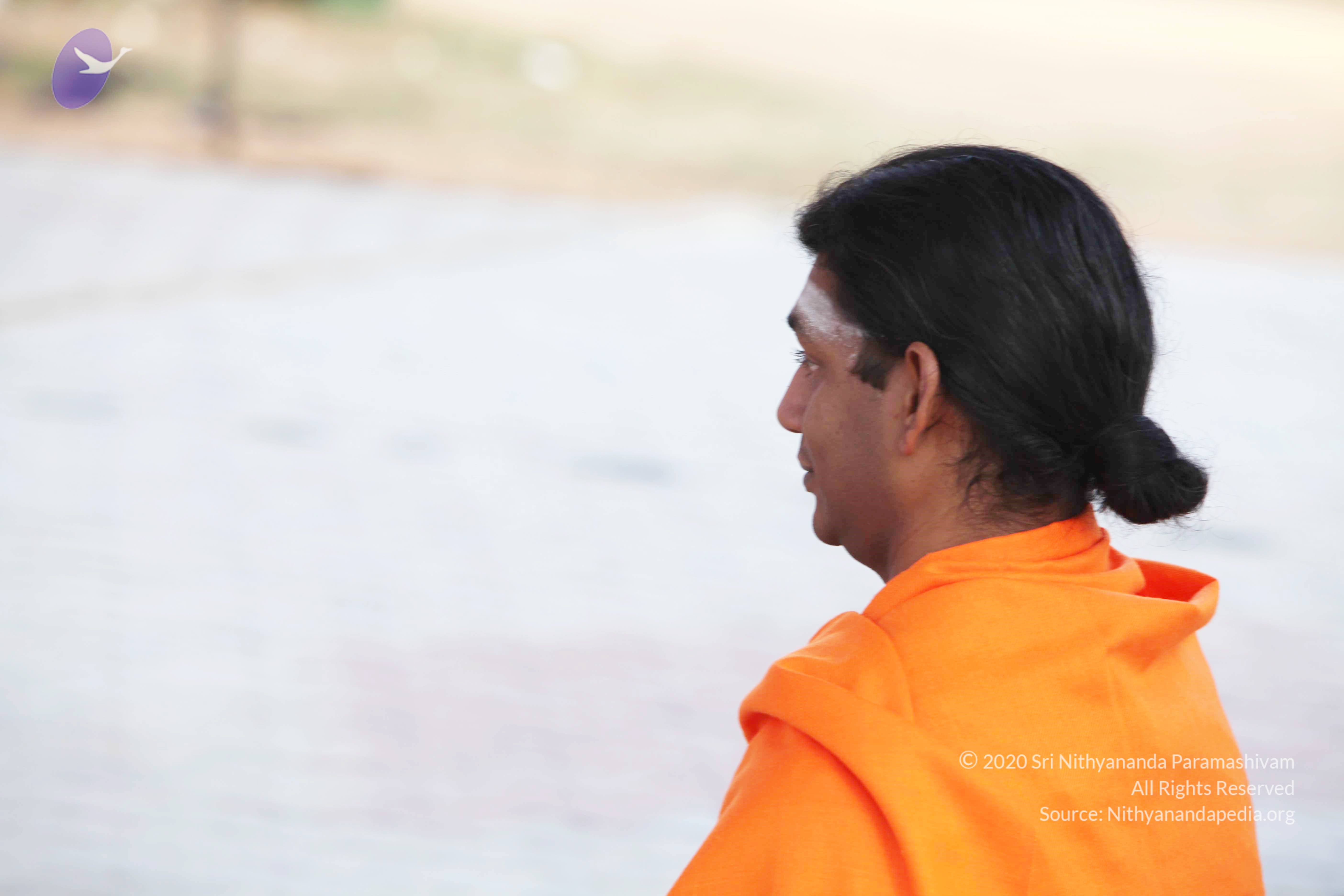 20110121_Photo_1127_IMG_1938_CMP_WM