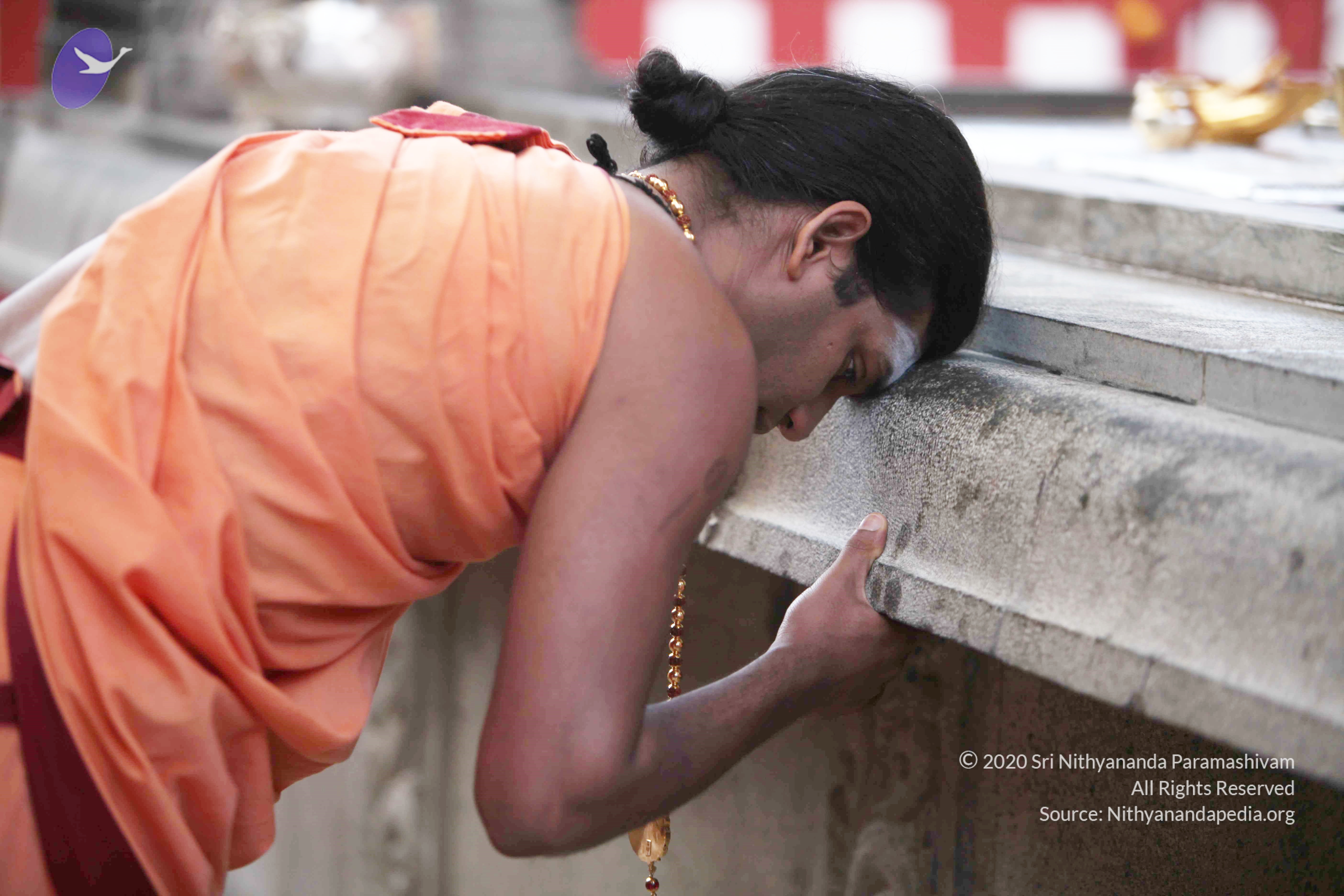 20110121_Photo_1130_IMG_1852_CMP_WM