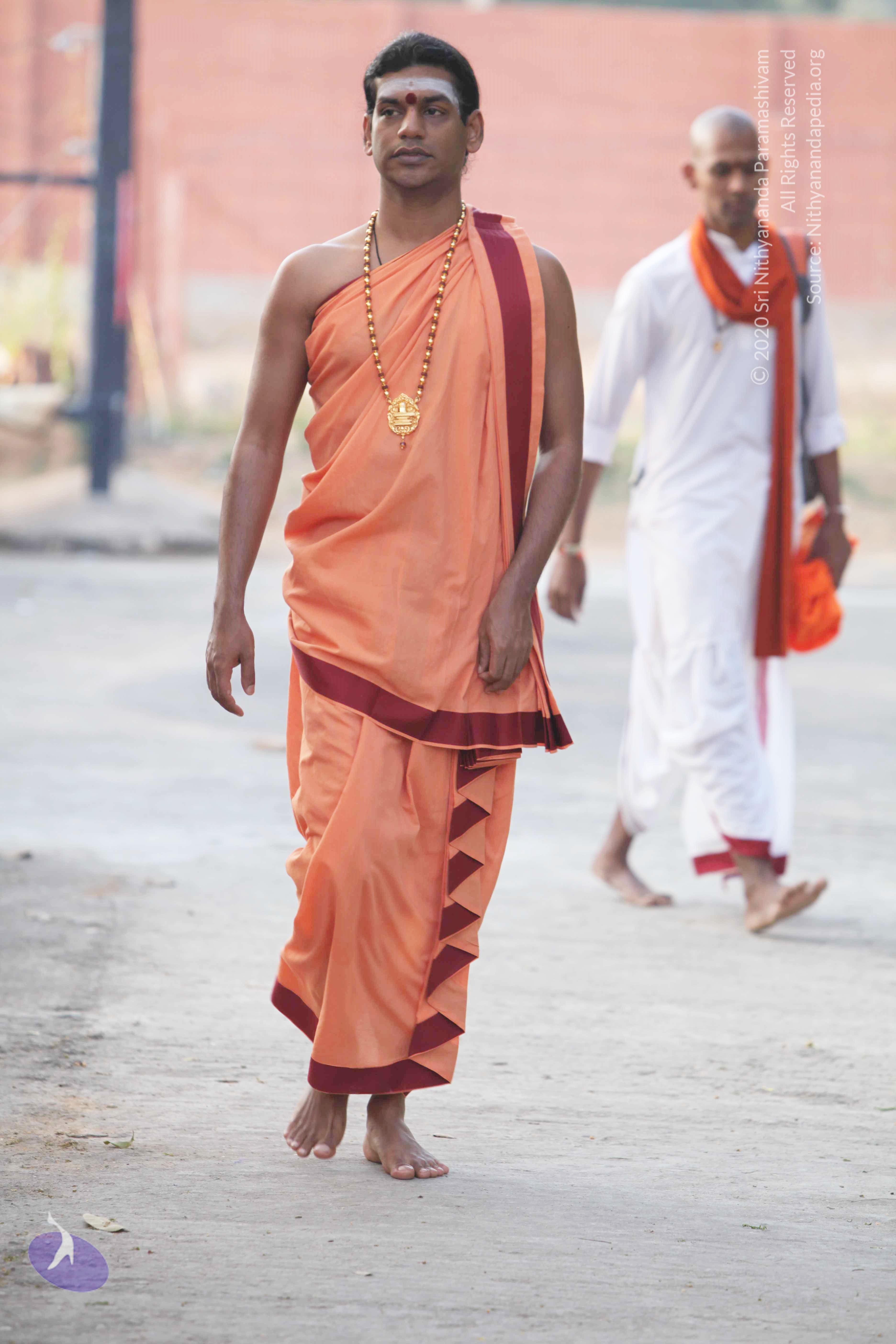 20110121_Photo_1131_IMG_1865_CMP_WM