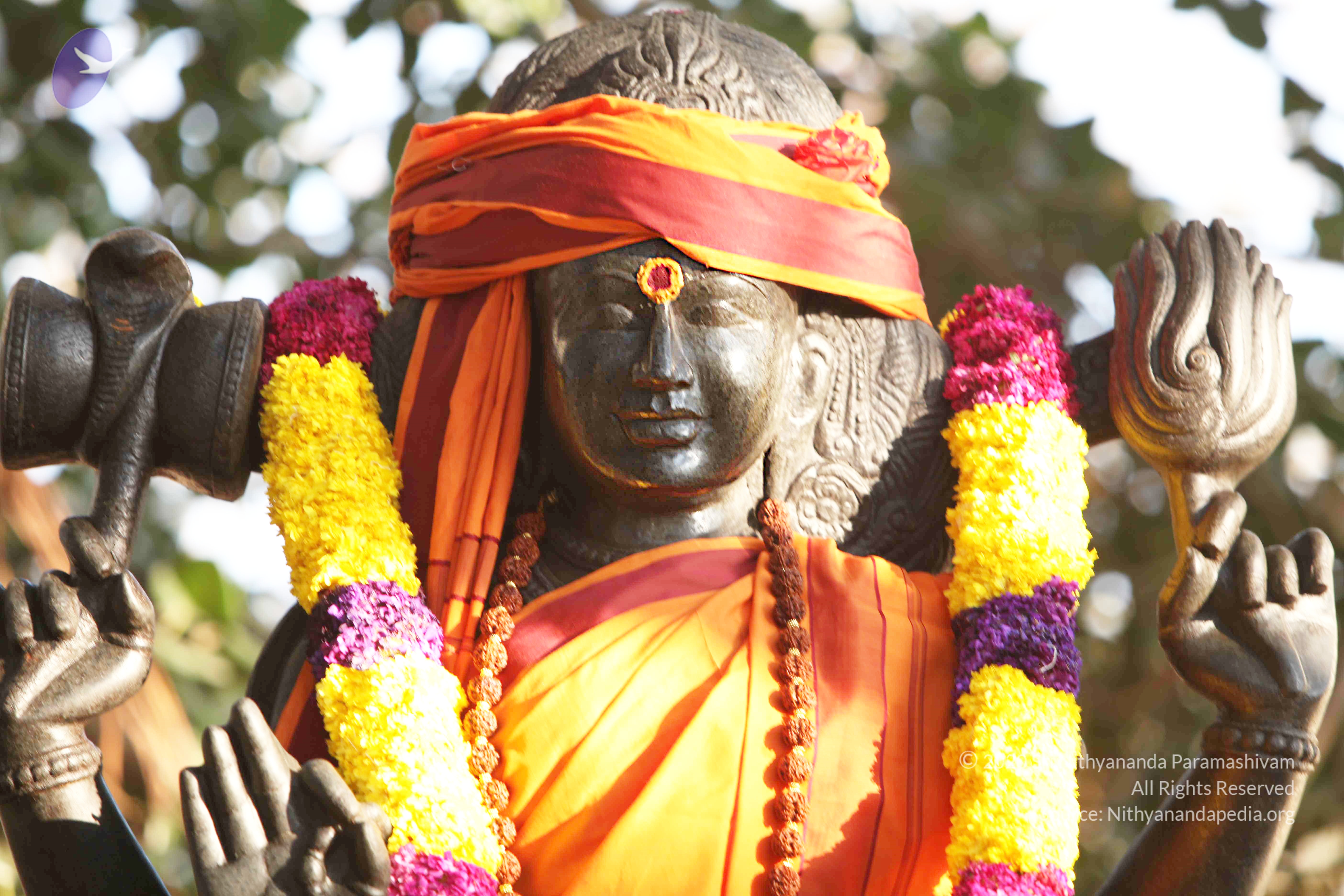 20110121_Photo_1134_IMG_2078_CMP_WM