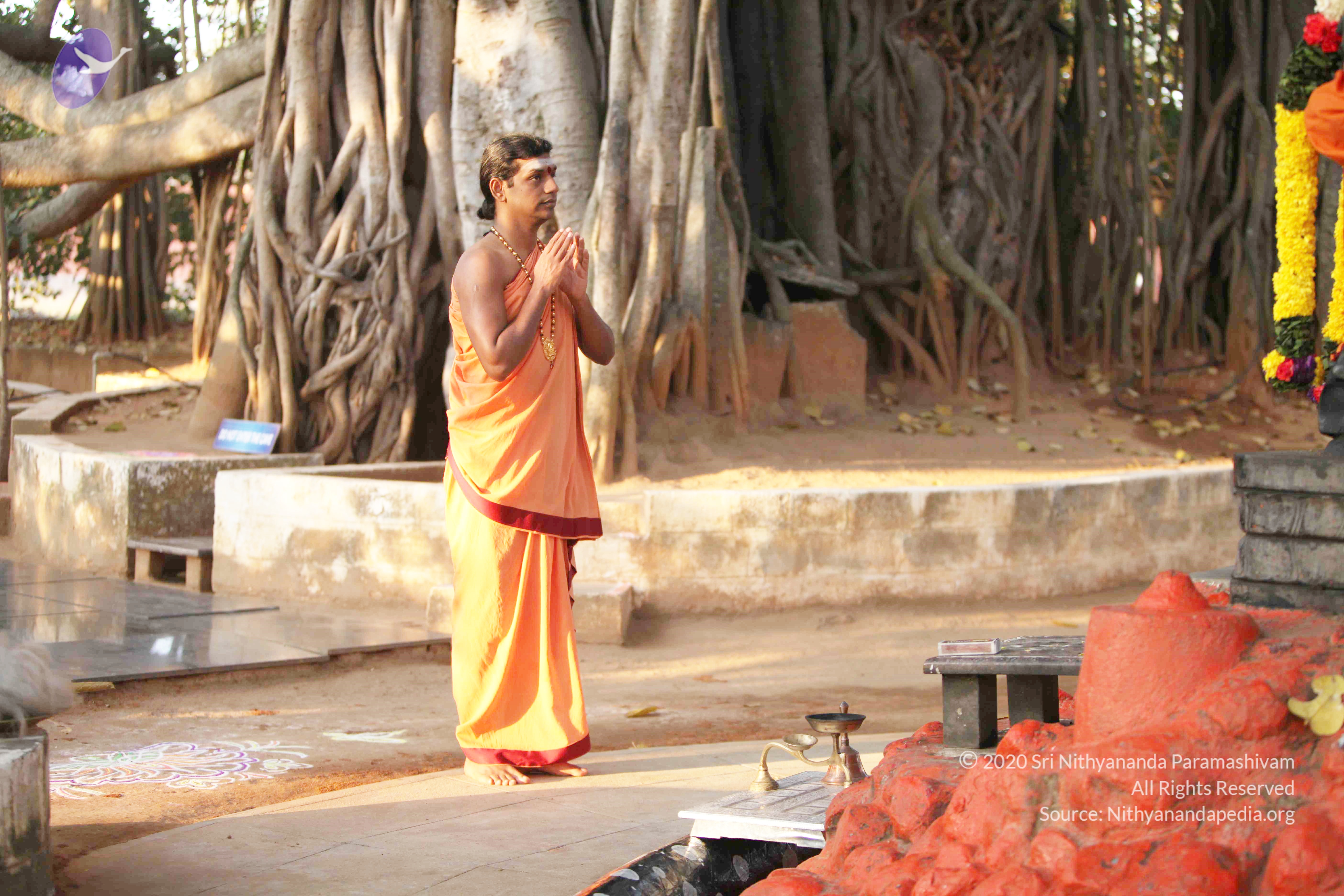 20110121_Photo_1138_IMG_1874_CMP_WM