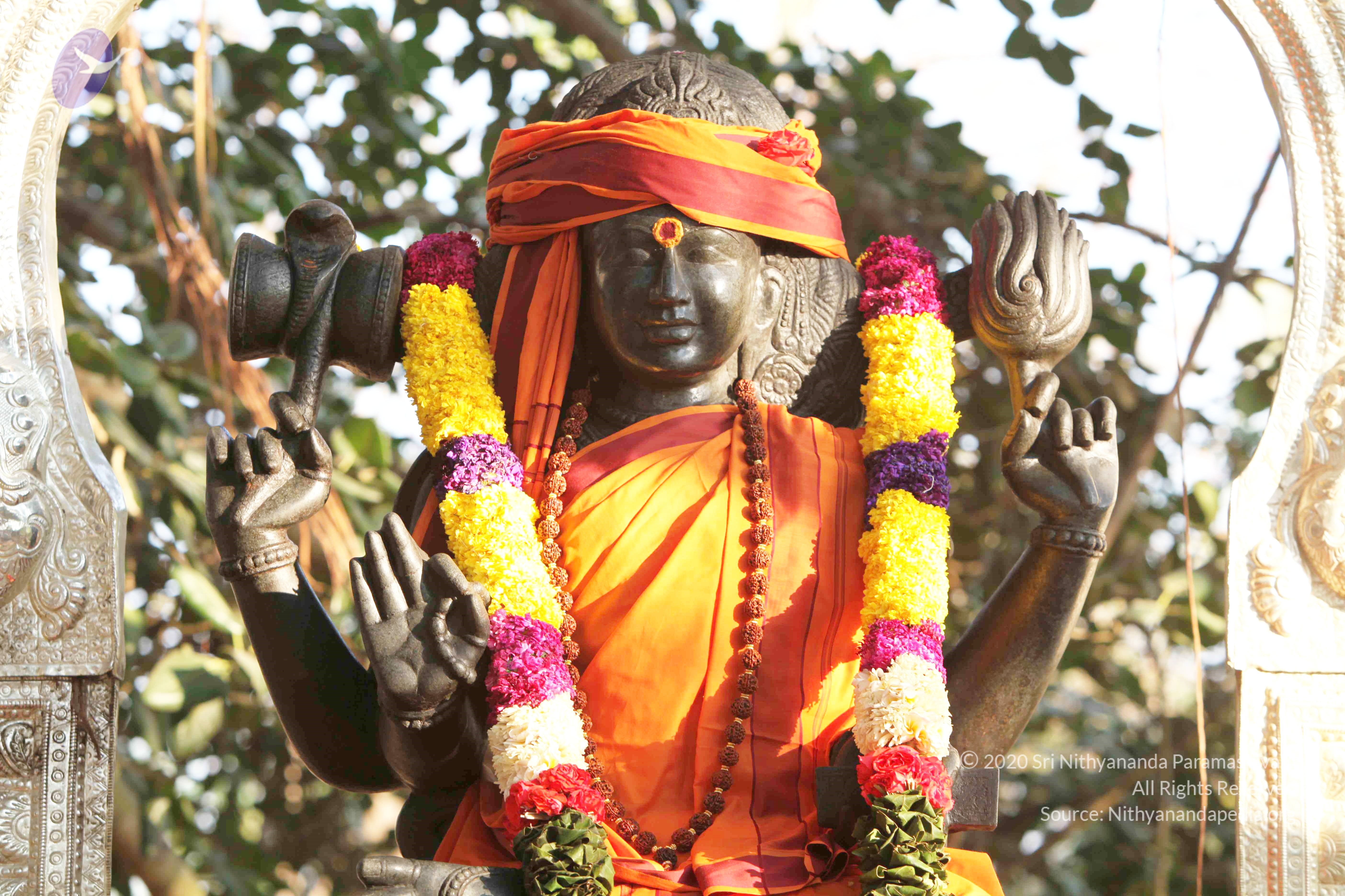 20110121_Photo_1142_IMG_2075_CMP_WM