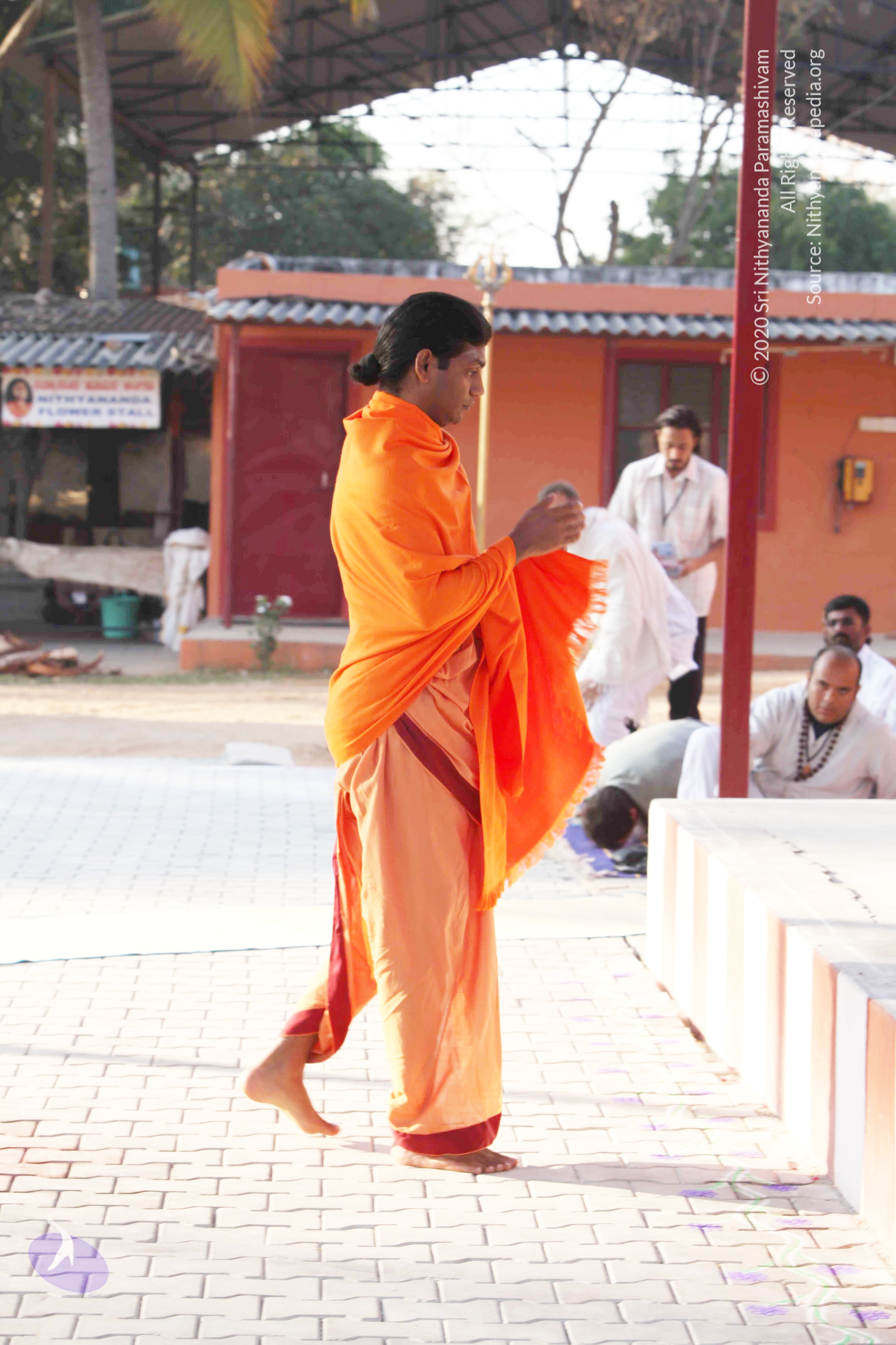 20110121_Photo_1154_IMG_2039_CMP_WM