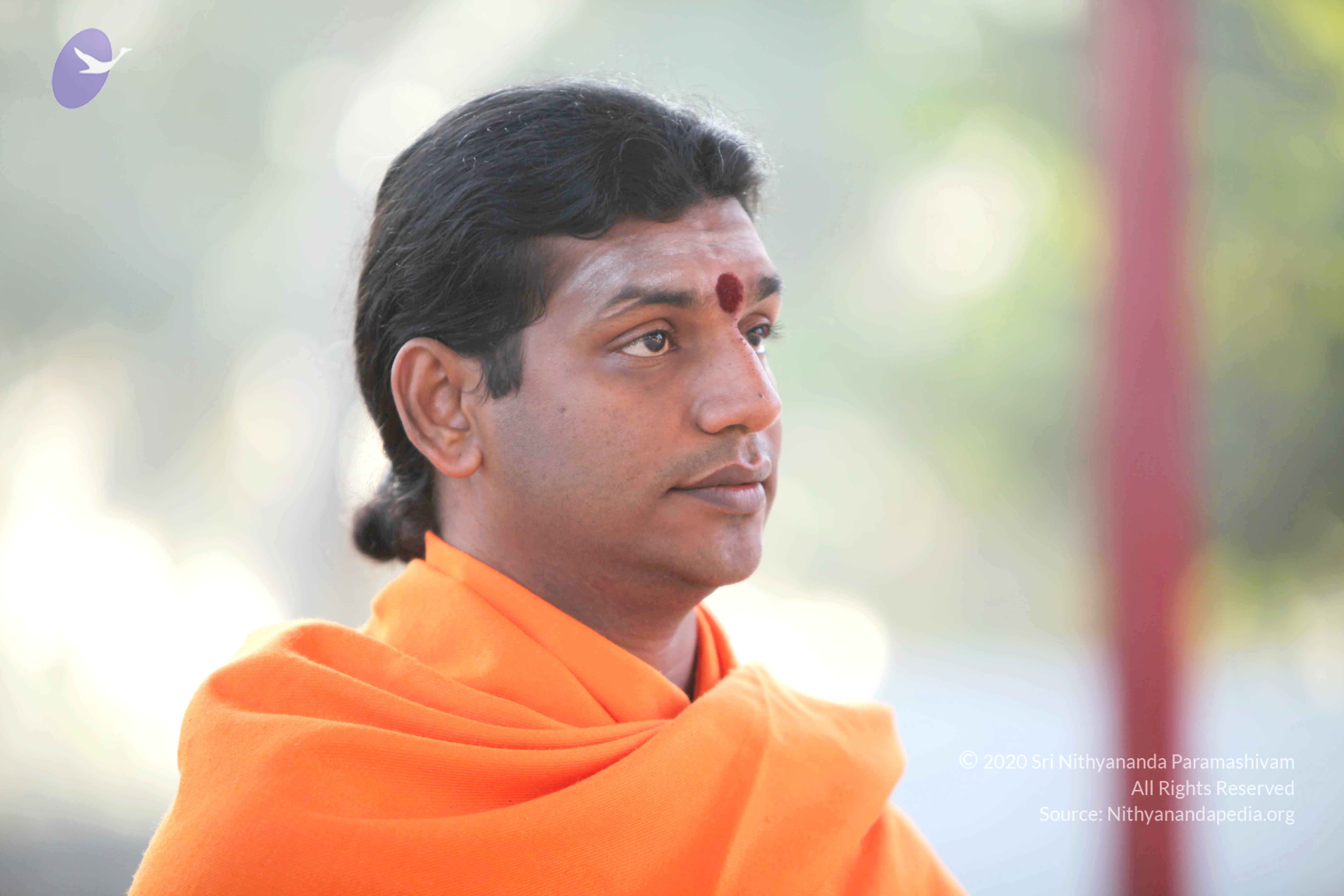 20110121_Photo_1156_IMG_1986_CMP_WM