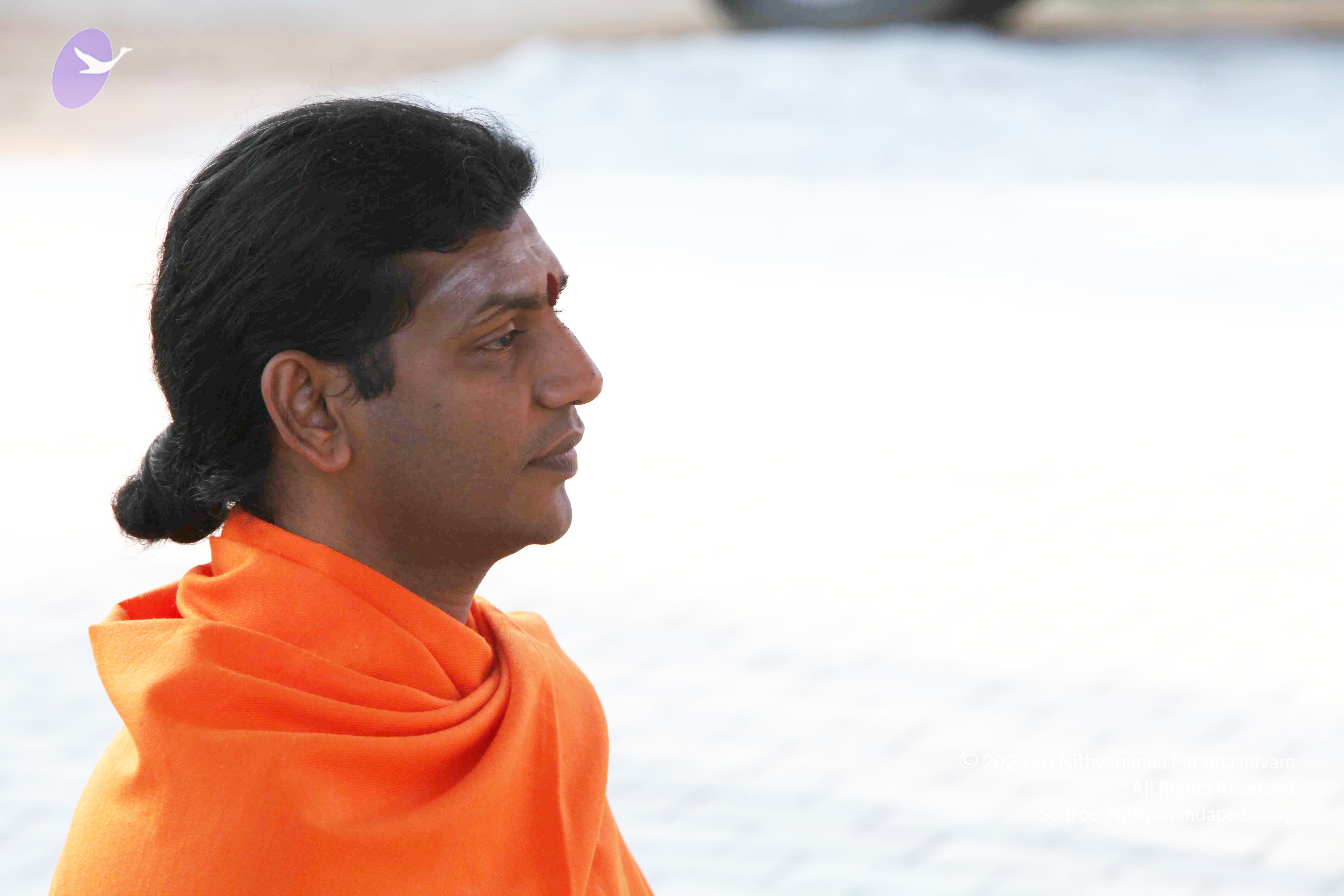 20110121_Photo_1164_IMG_2003_CMP_WM