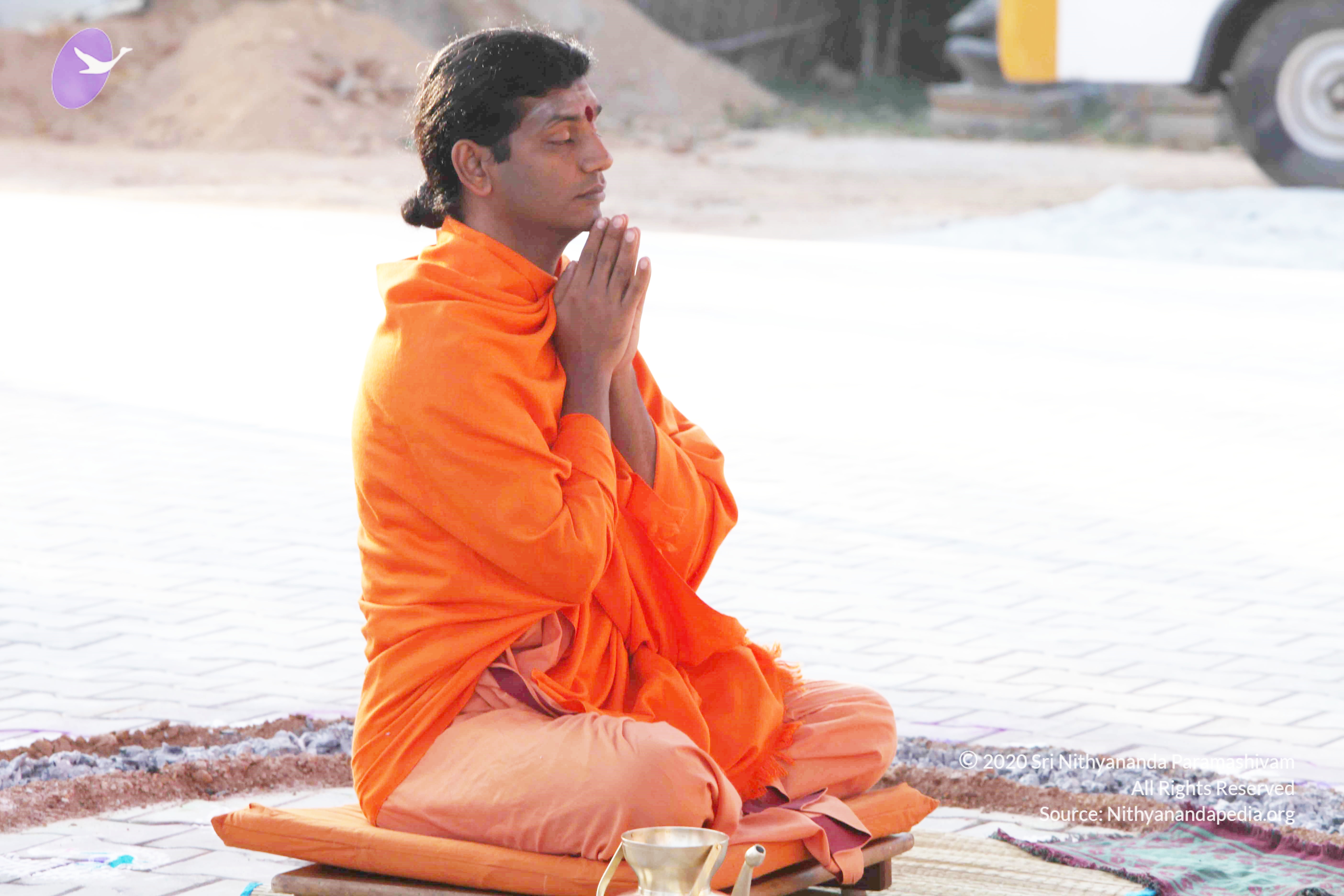 20110121_Photo_1171_IMG_2028_CMP_WM