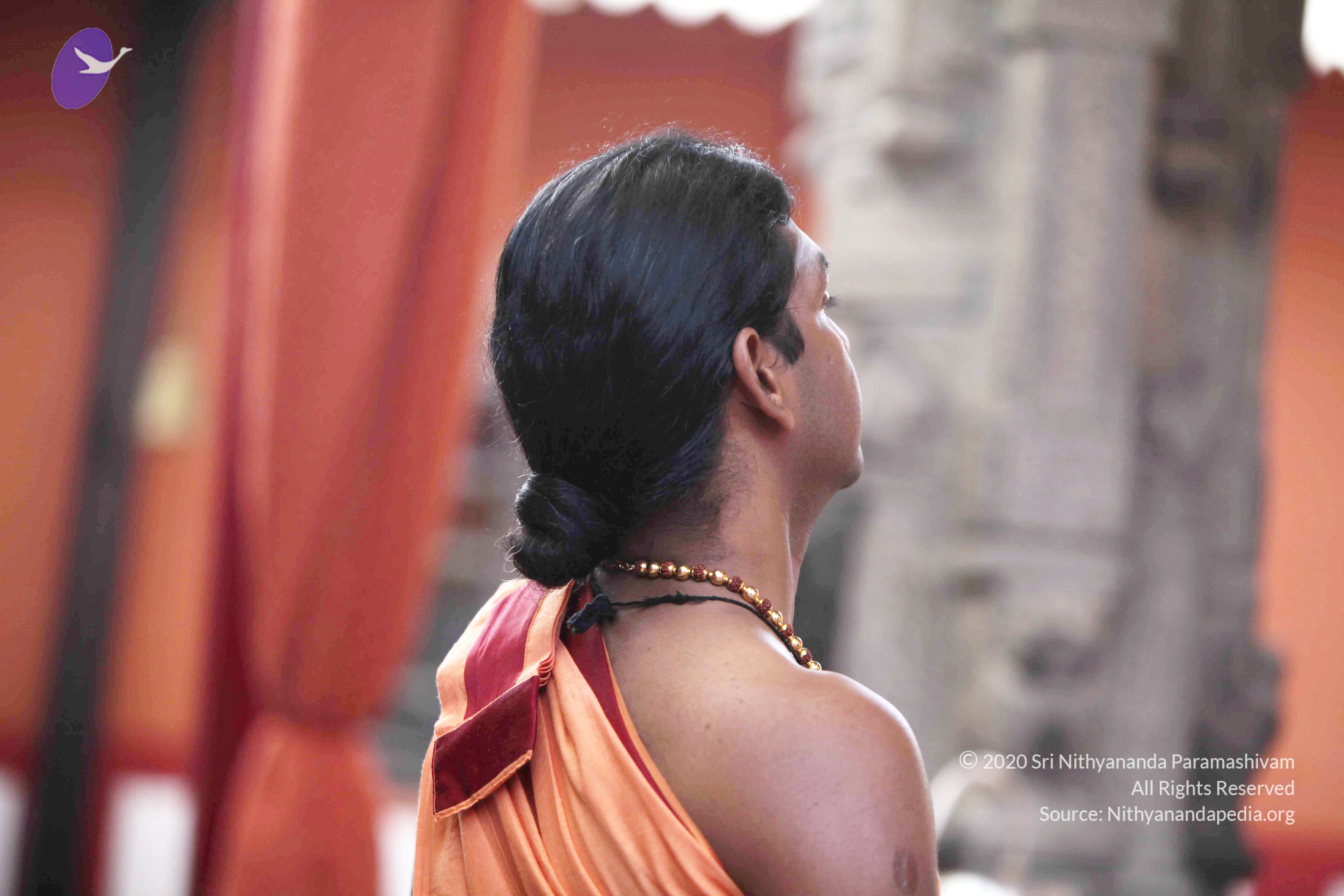 20110121_Photo_1172_IMG_1857_CMP_WM