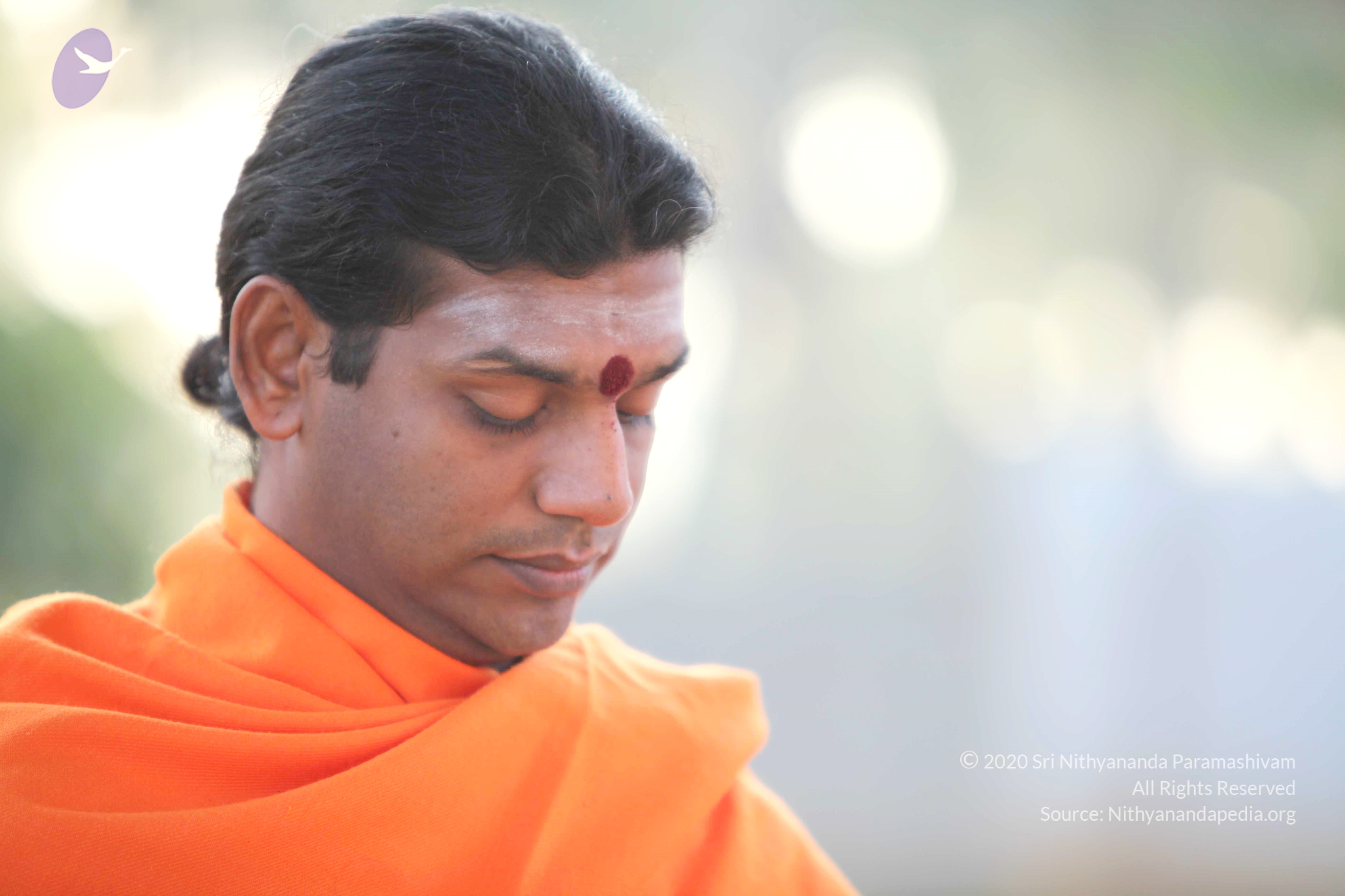 20110121_Photo_1173_IMG_1974_CMP_WM