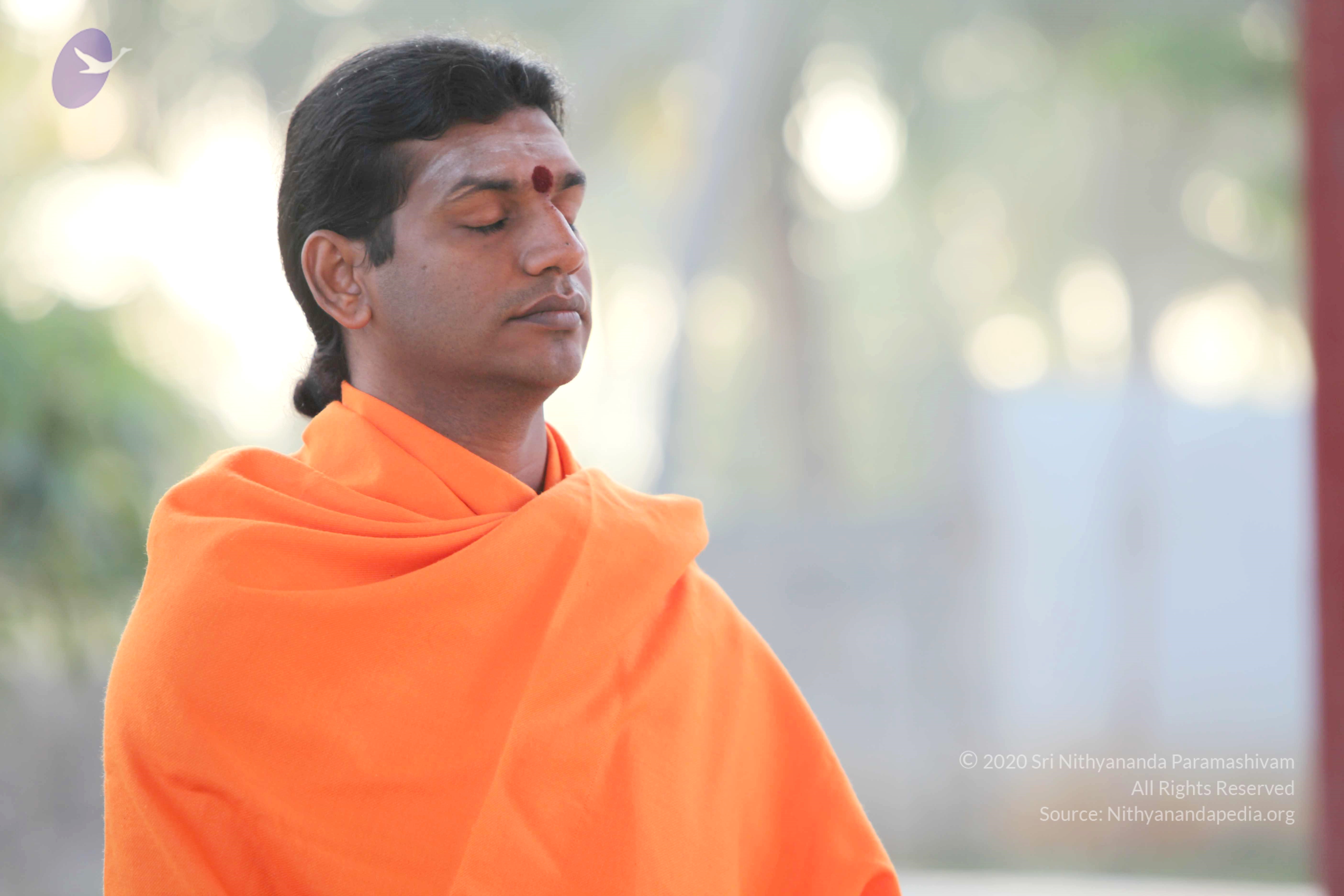 20110121_Photo_1174_IMG_1943_CMP_WM