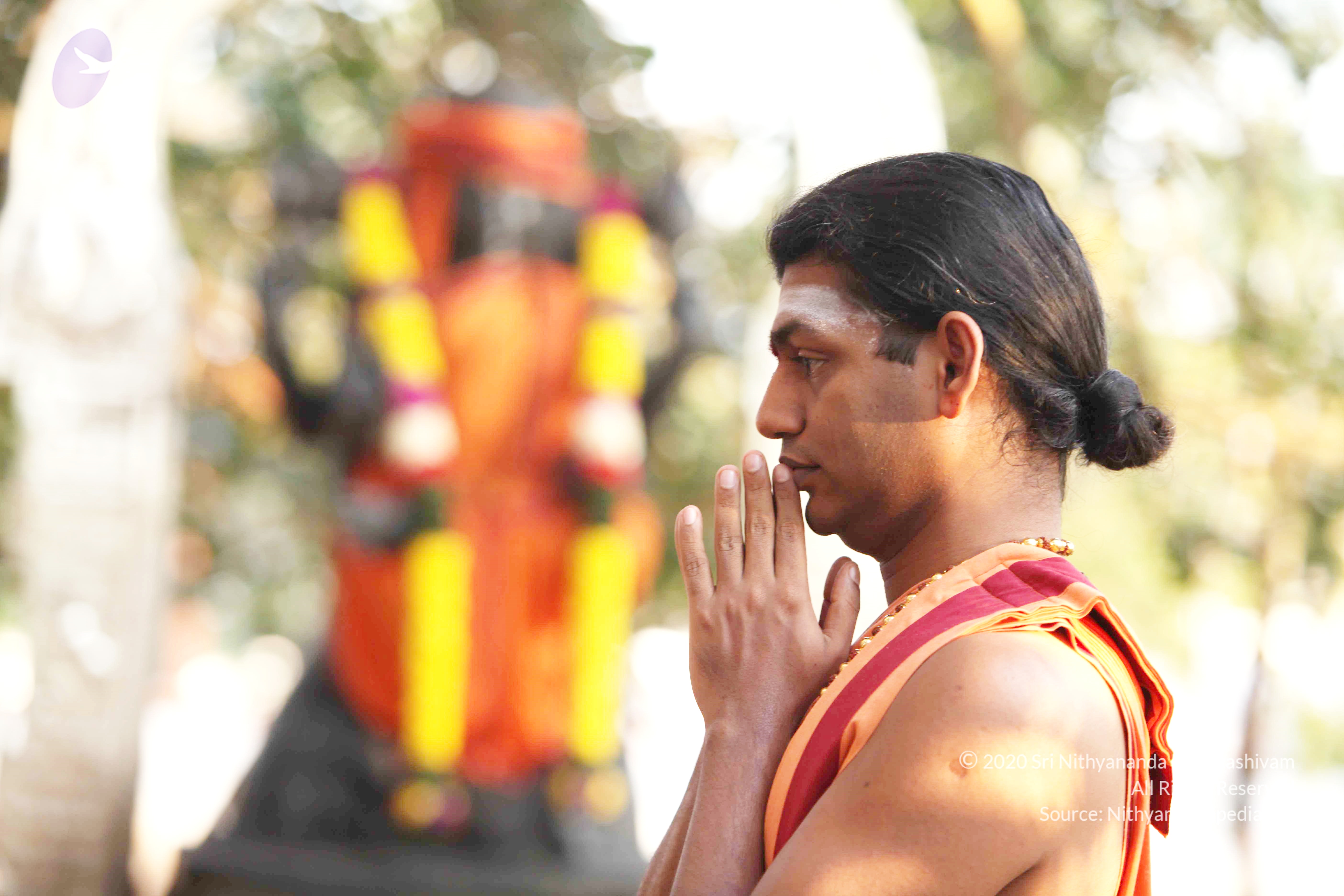 20110121_Photo_1178_IMG_1898_CMP_WM