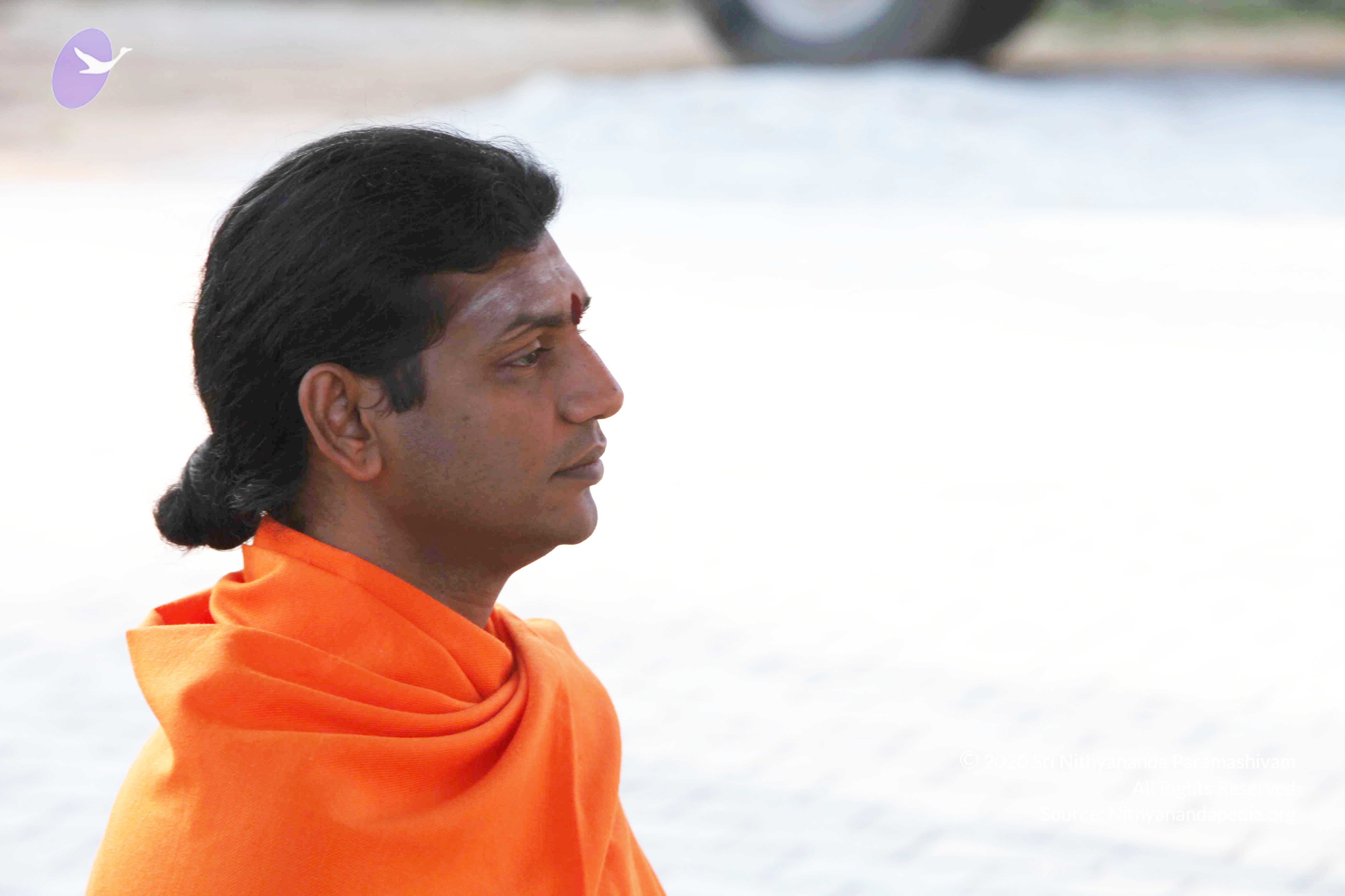 20110121_Photo_1186_IMG_2004_CMP_WM